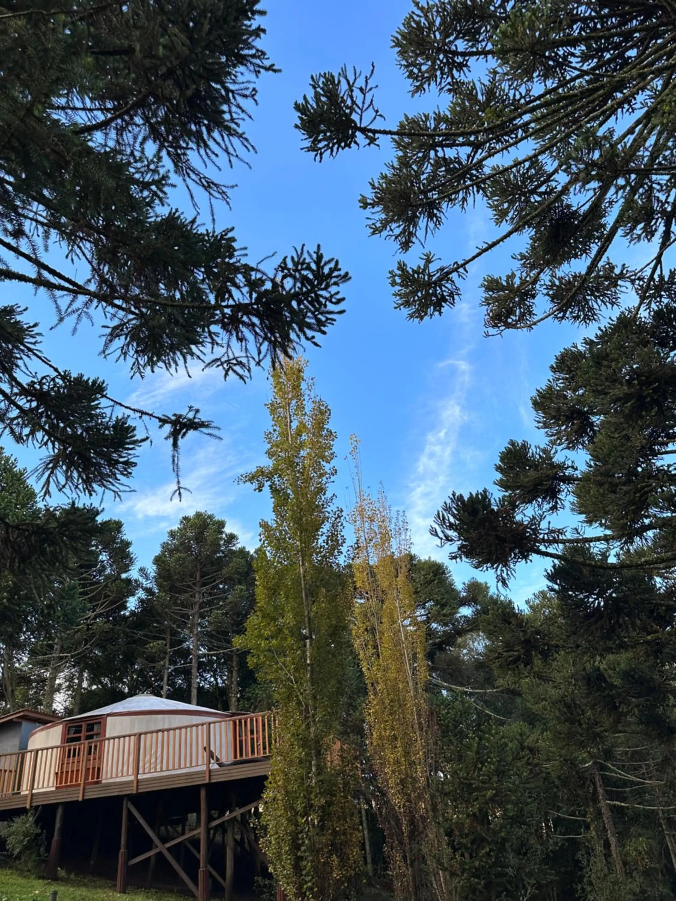 Glamping montain experience