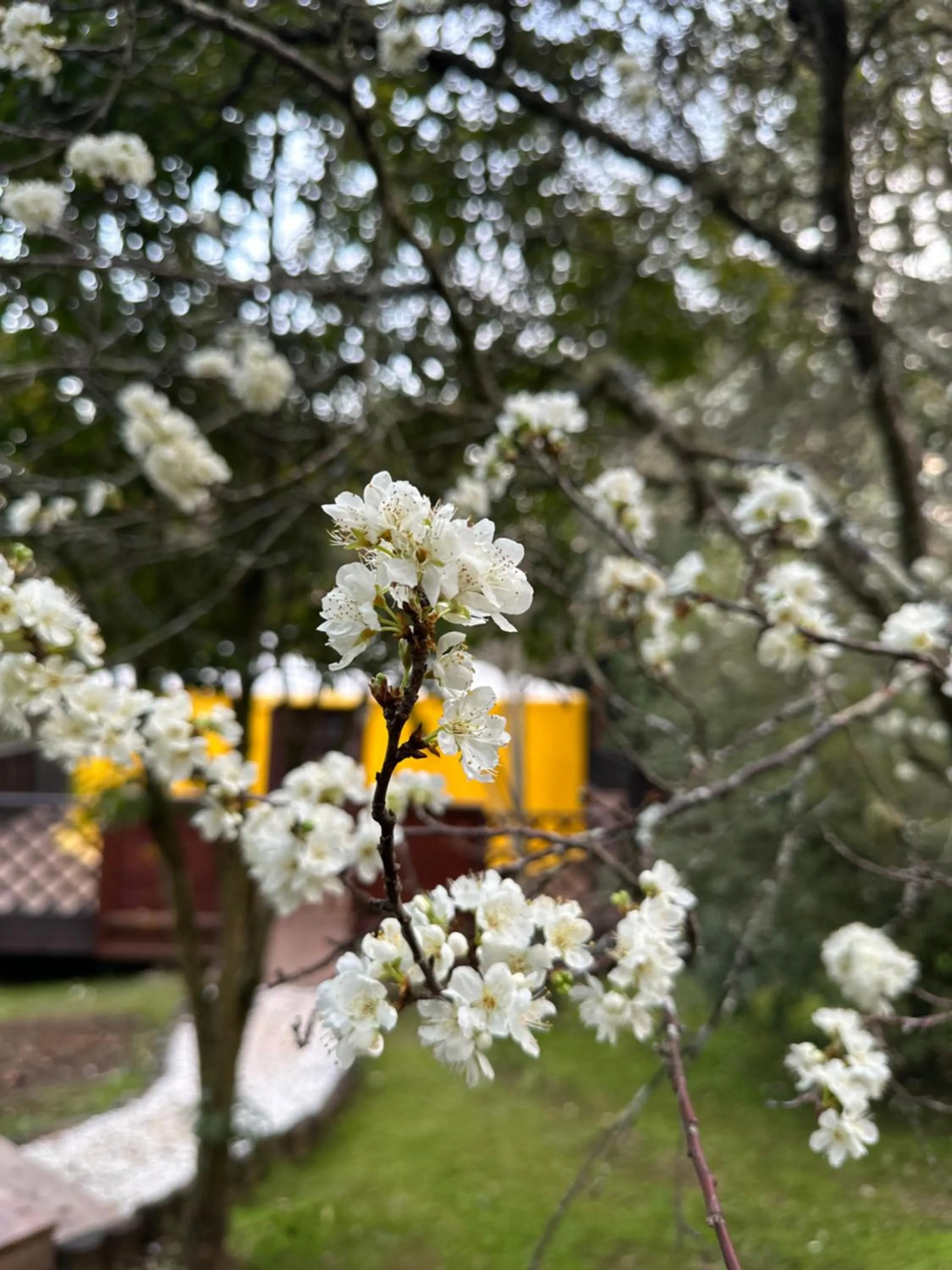 Glamping montain experience