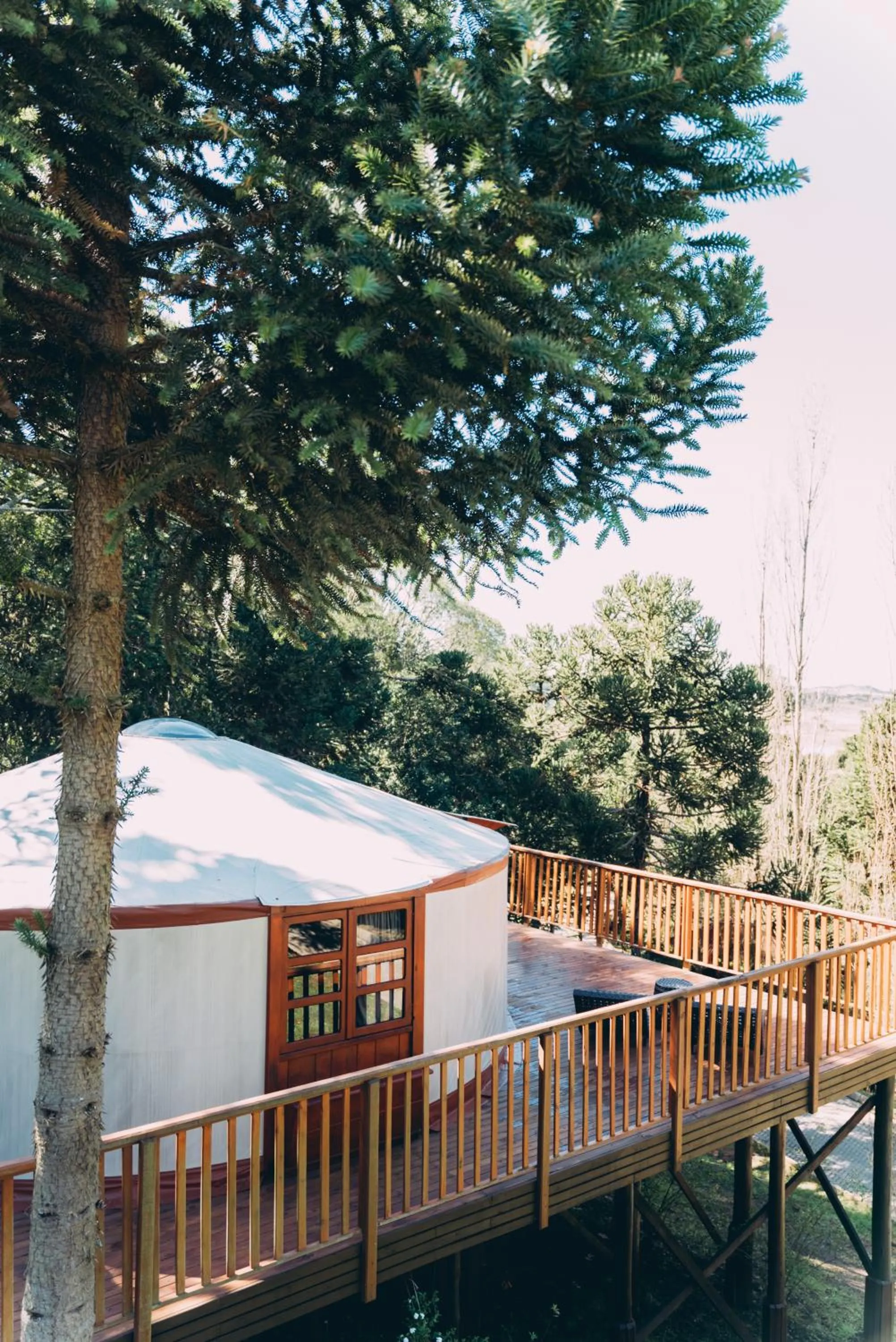 Glamping montain experience