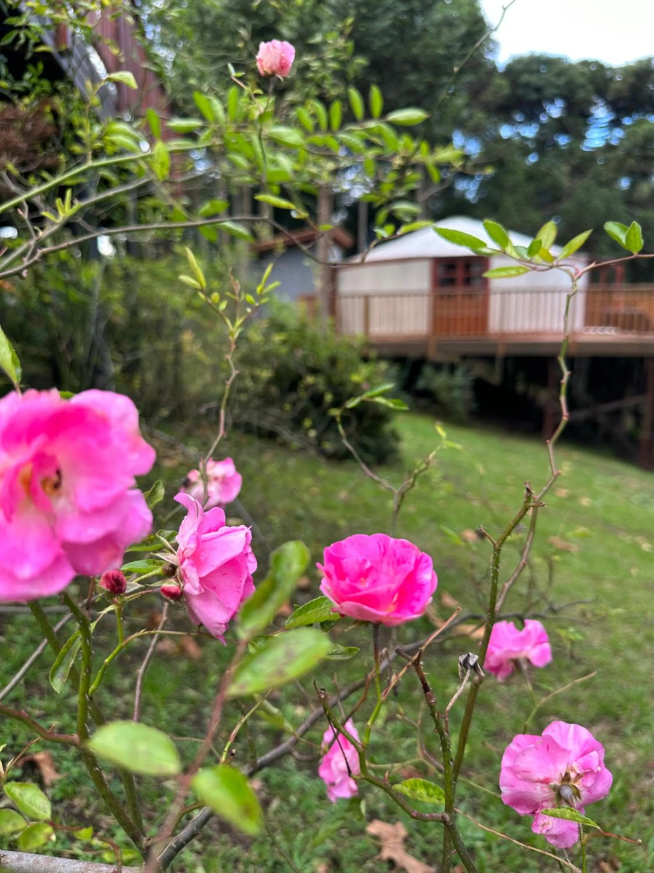 Glamping montain experience