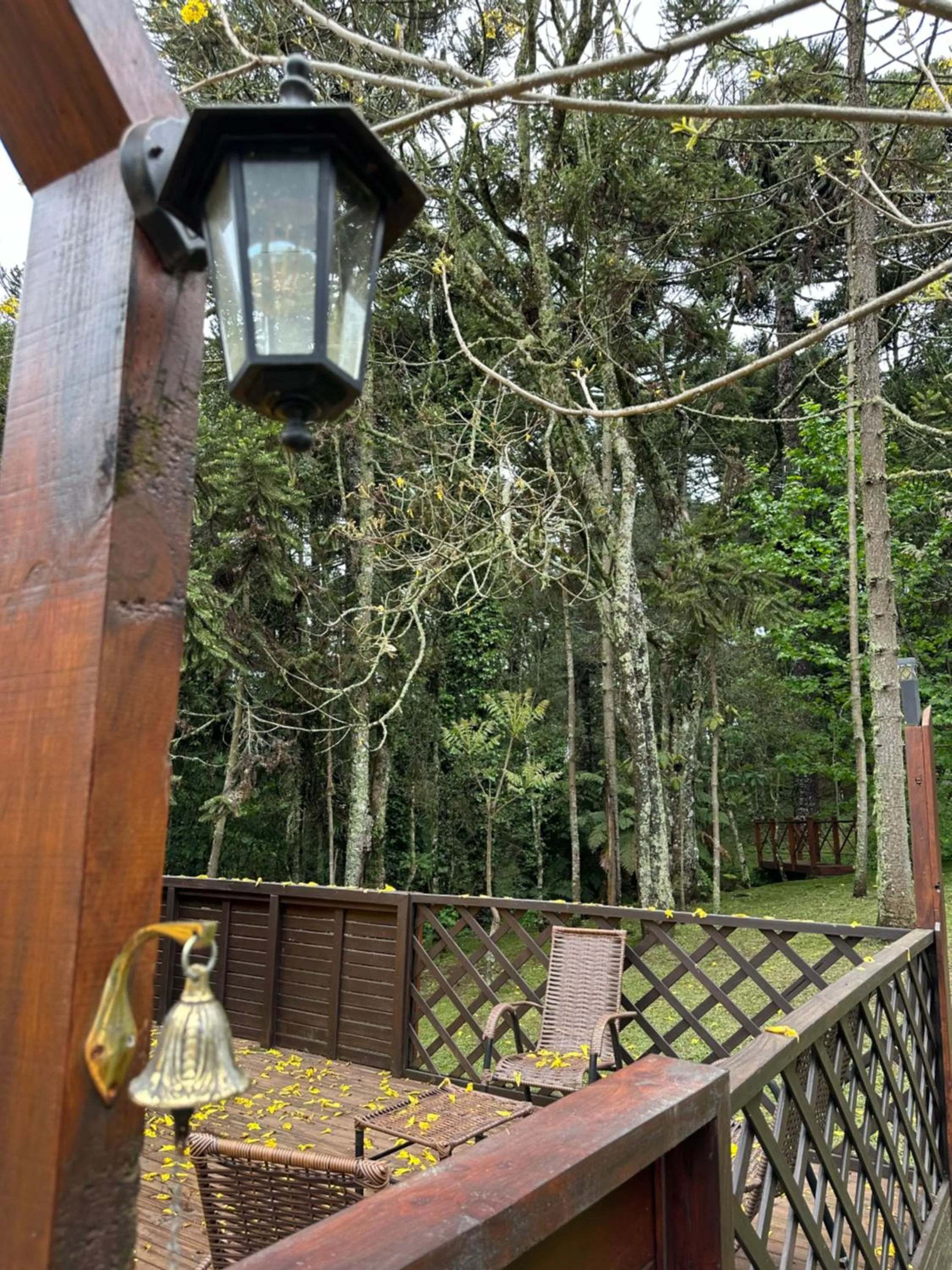 Glamping montain experience