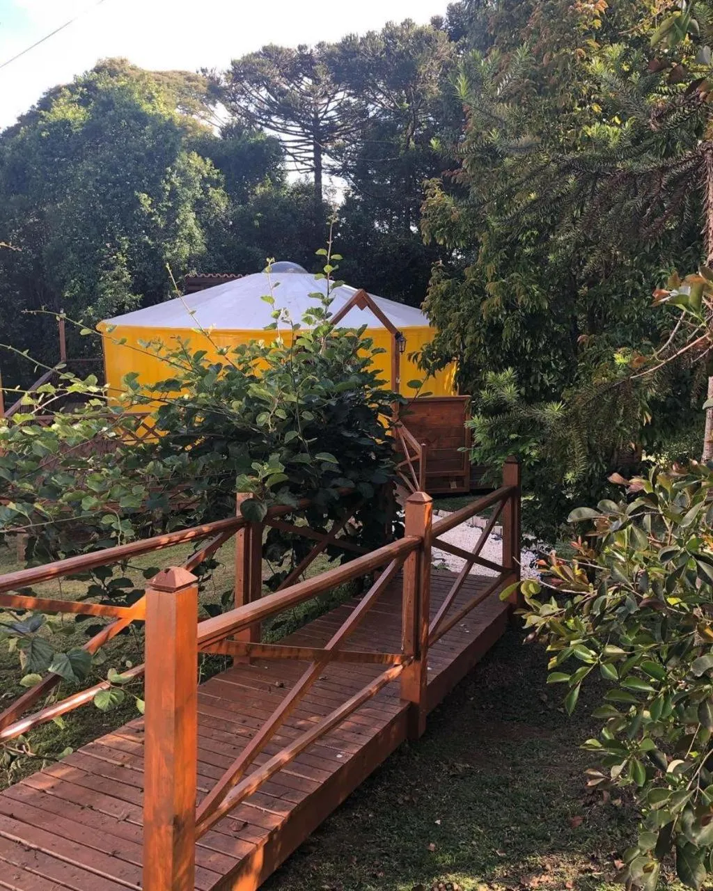 Glamping montain experience