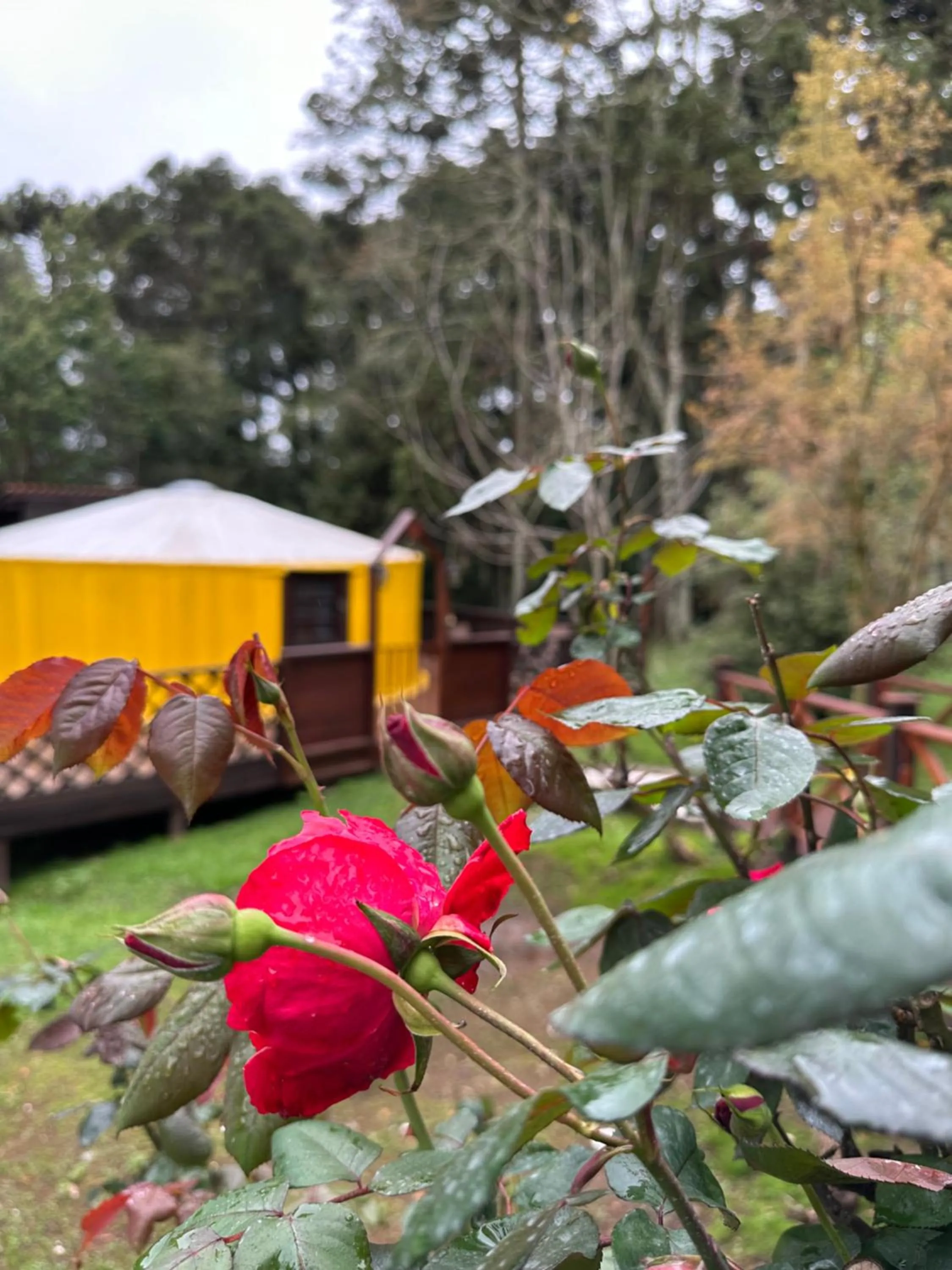 Glamping montain experience