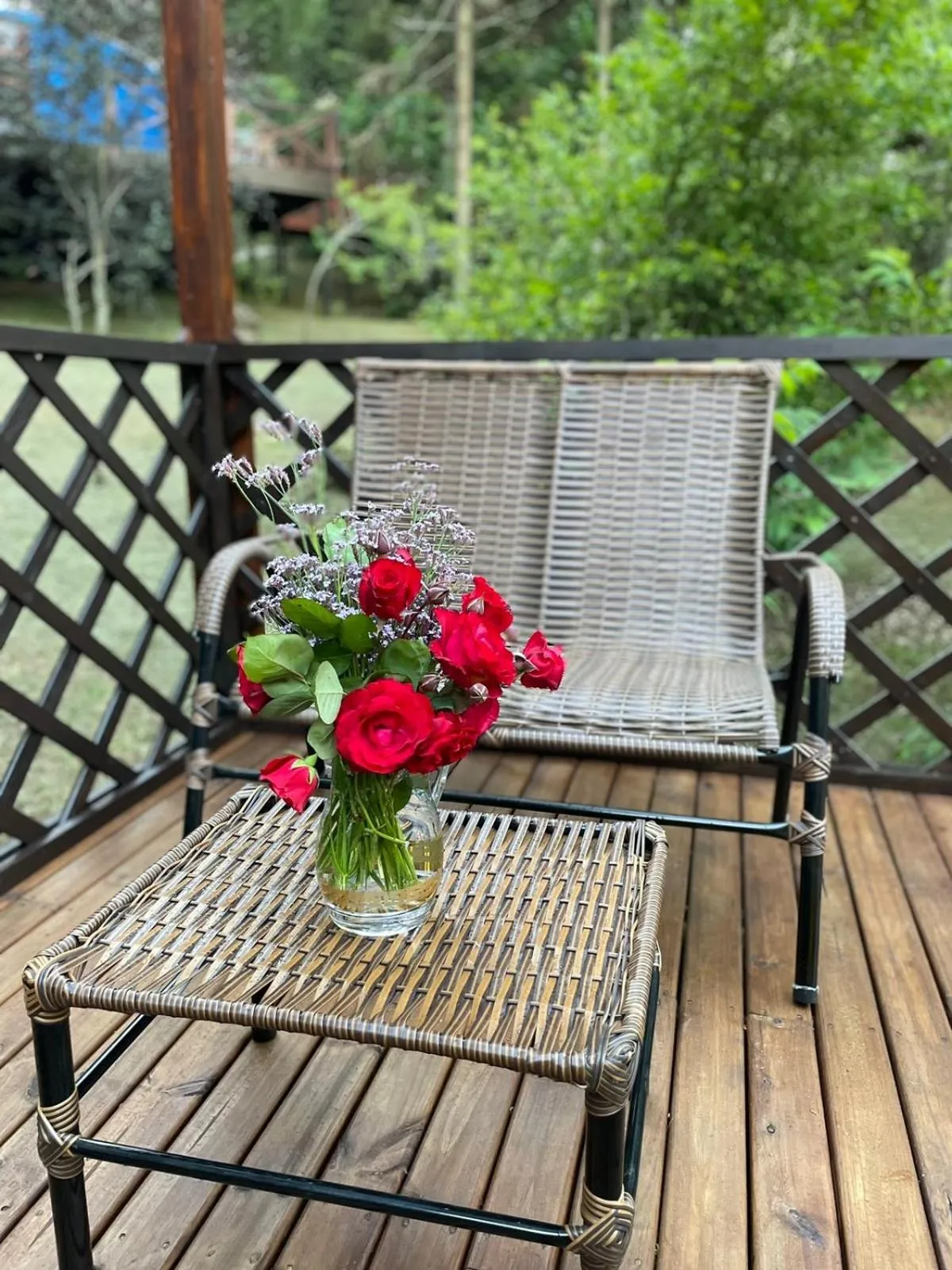 Glamping montain experience