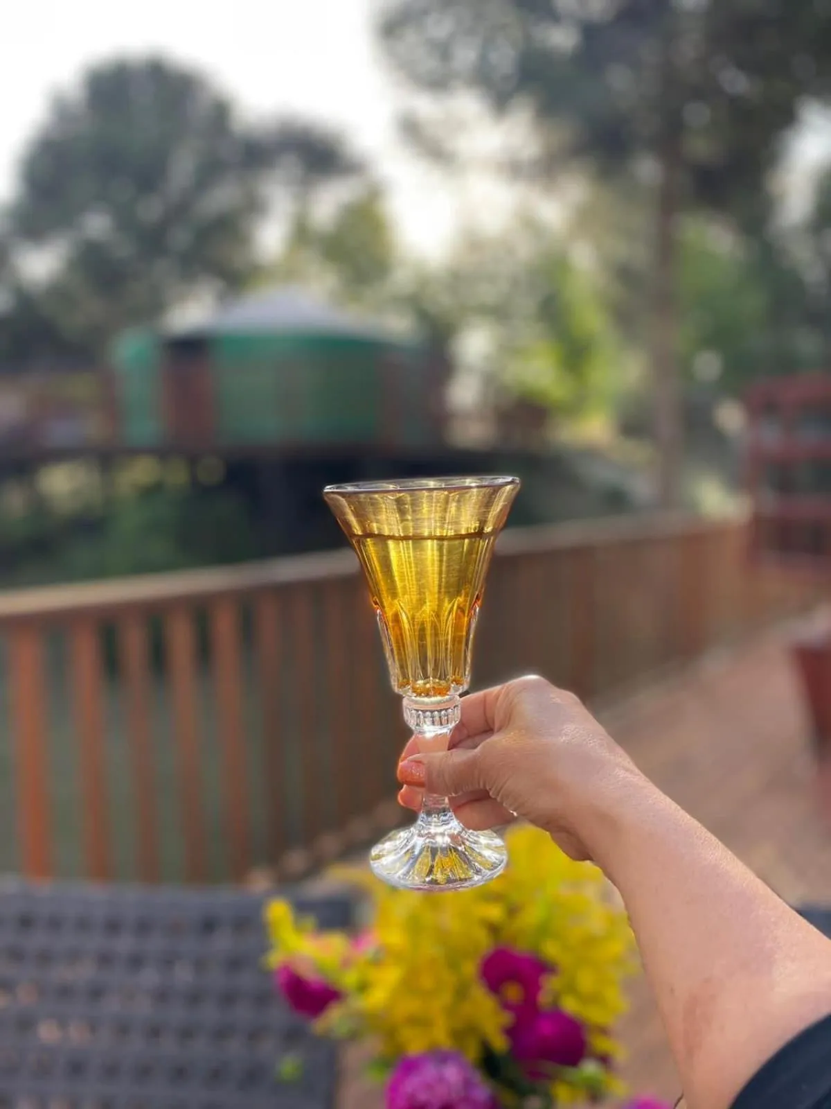 Glamping montain experience