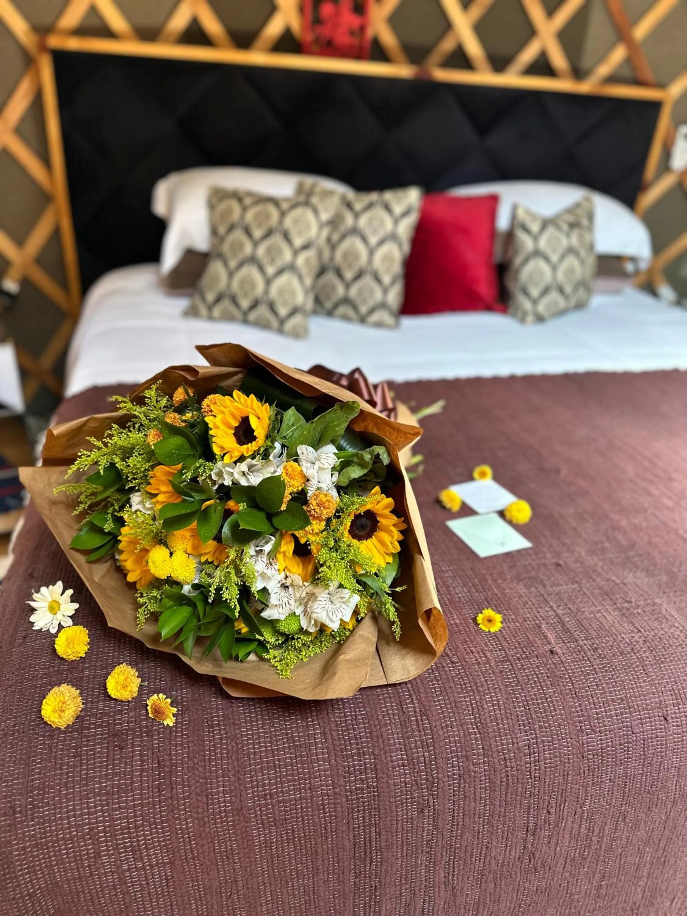 Glamping montain experience