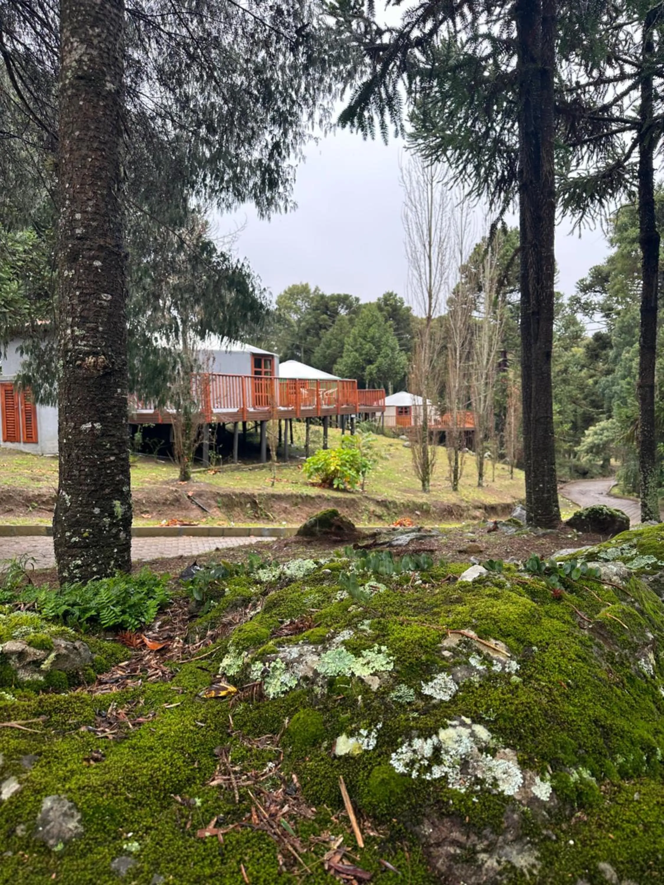 Glamping montain experience