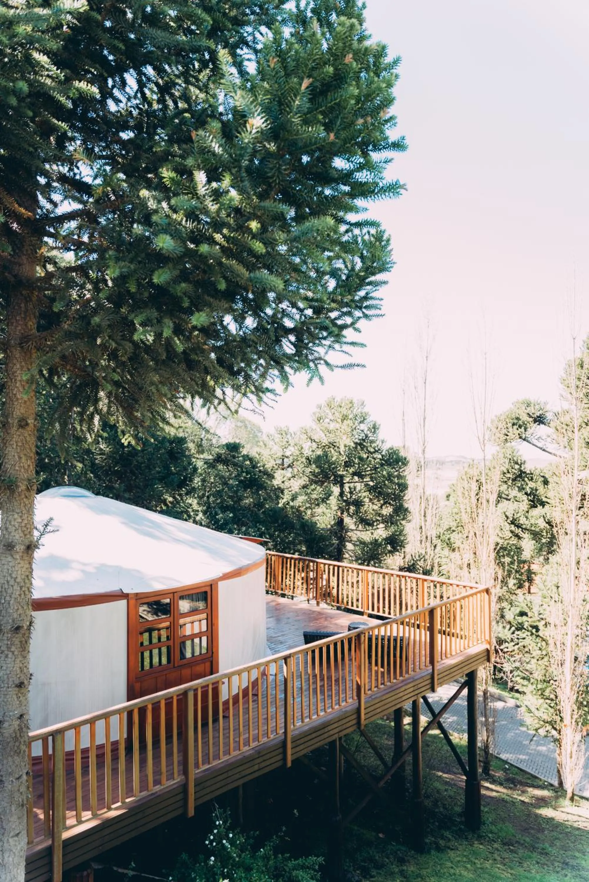 Glamping montain experience