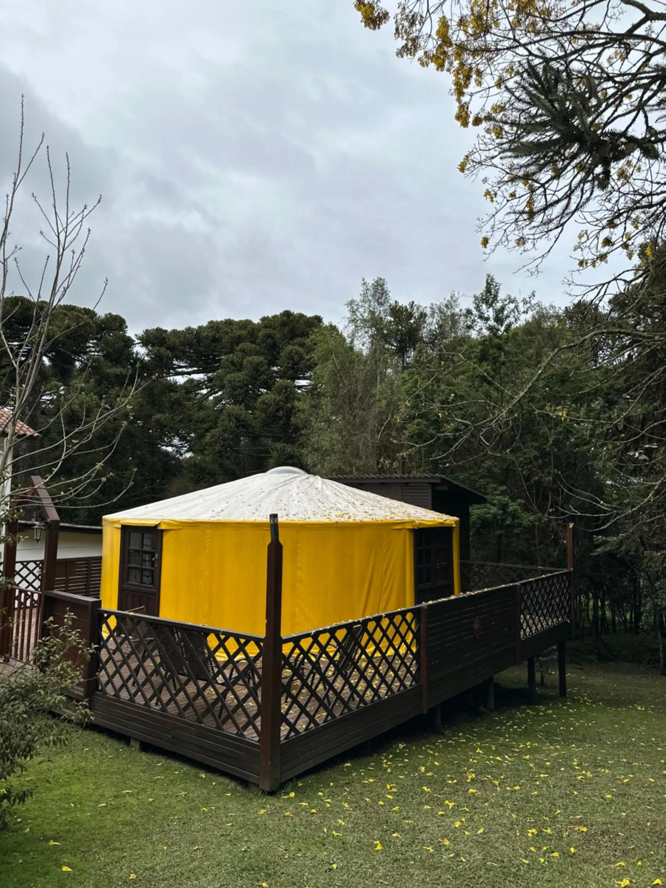 Glamping montain experience