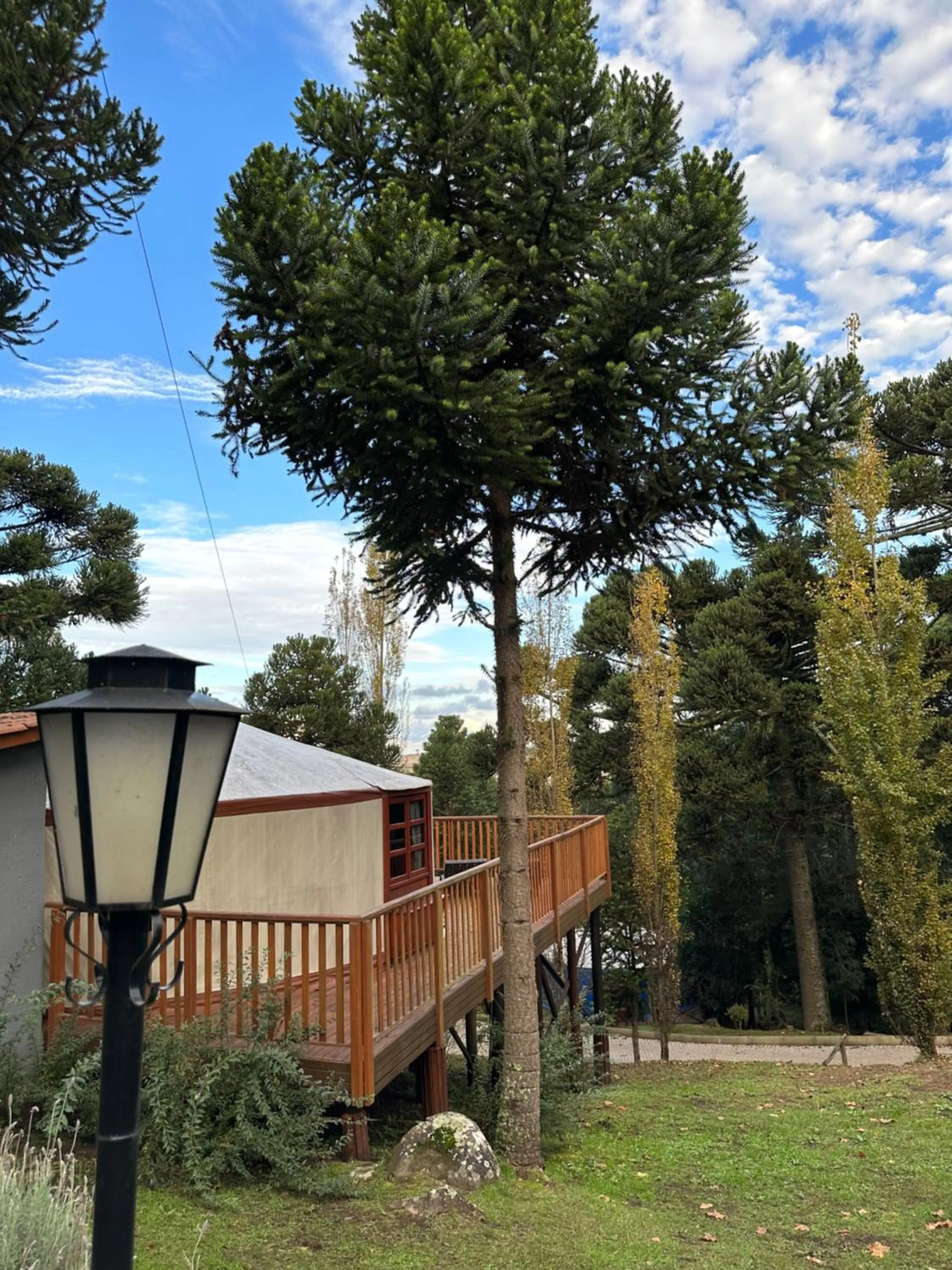 Glamping montain experience