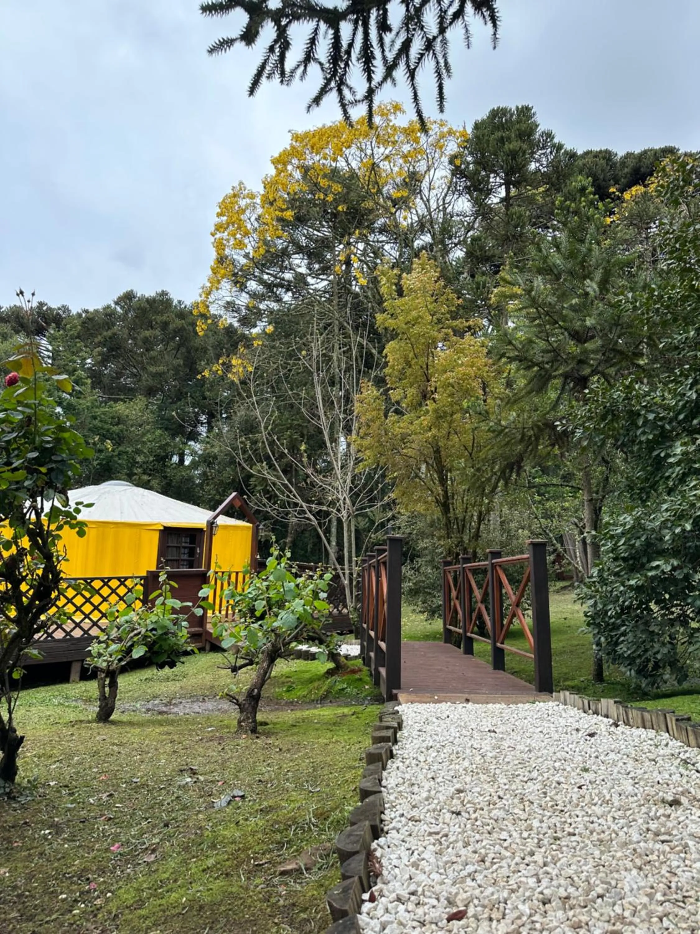 Glamping montain experience