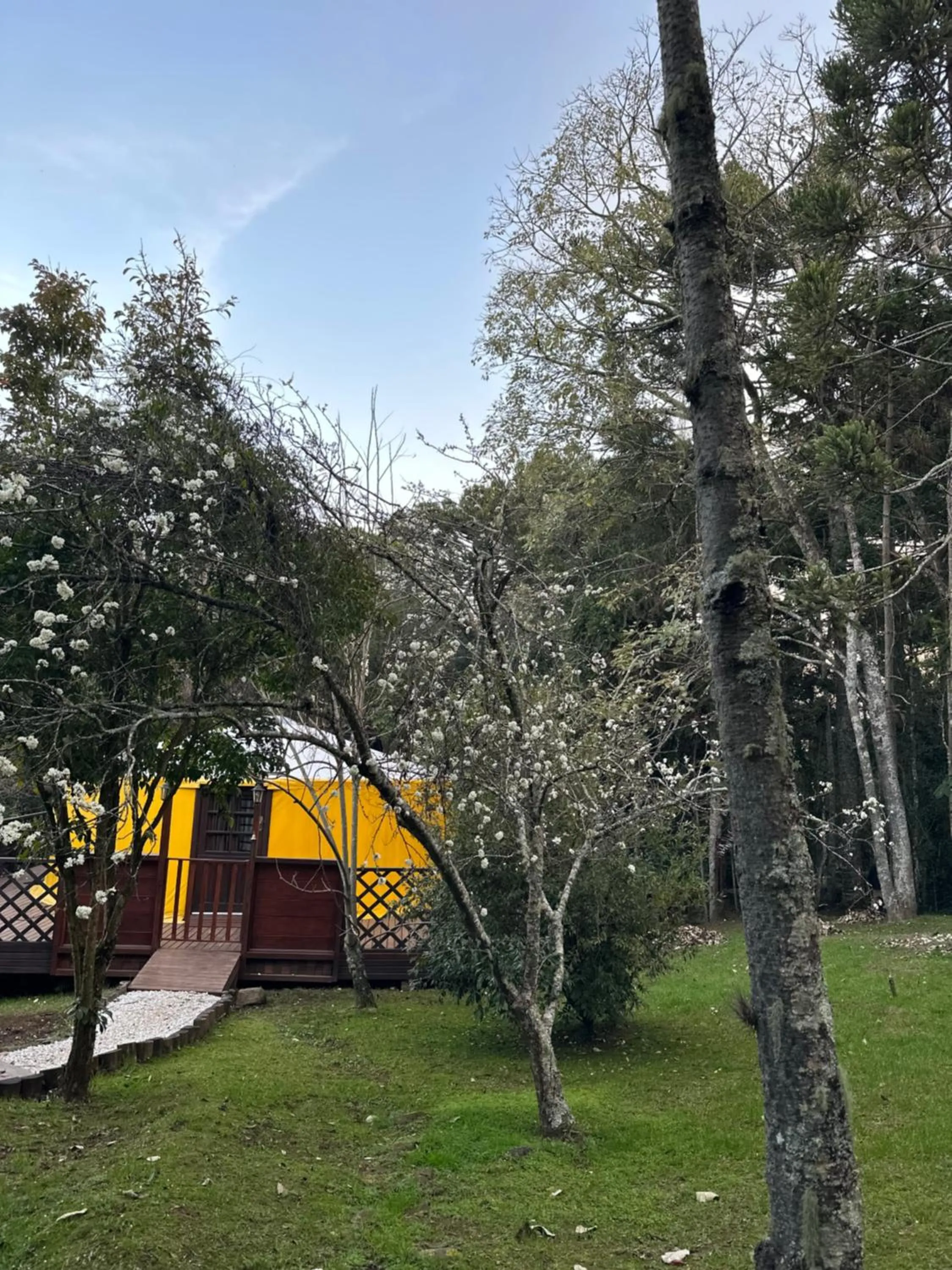 Glamping montain experience