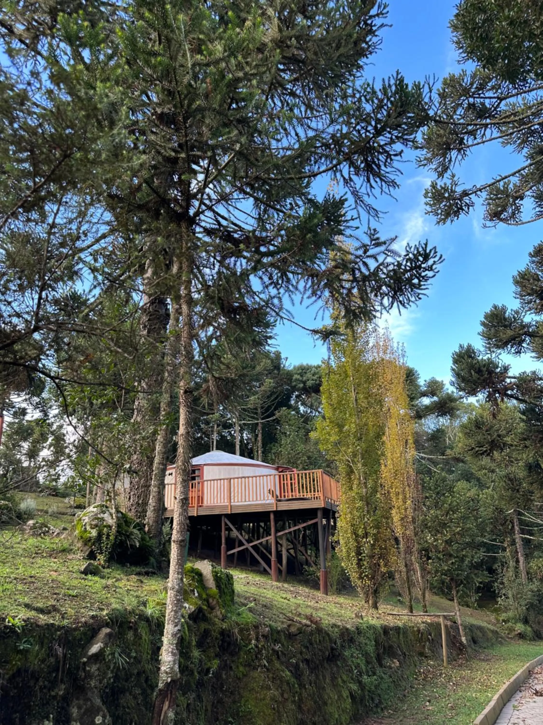 Glamping montain experience