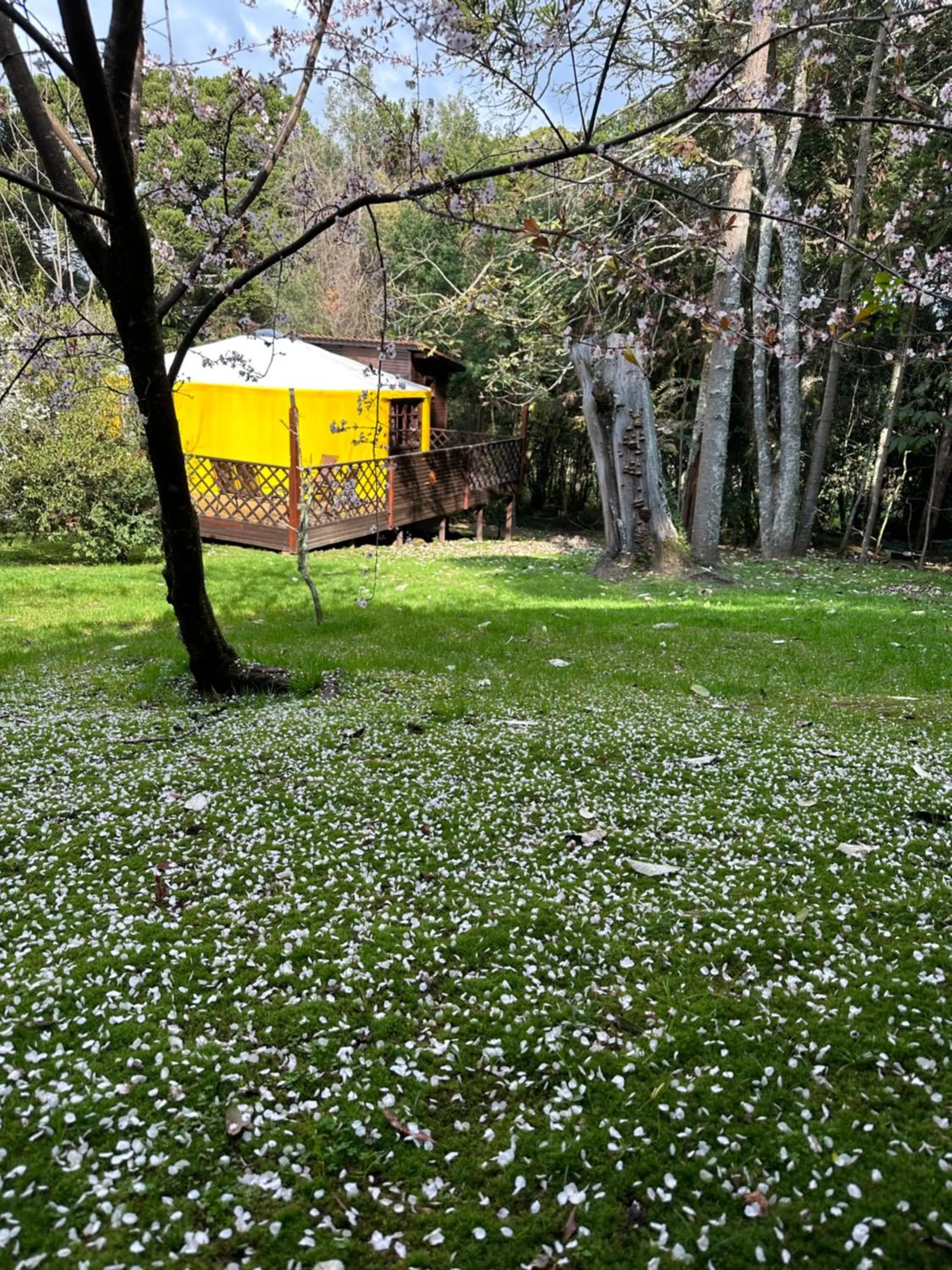 Glamping montain experience