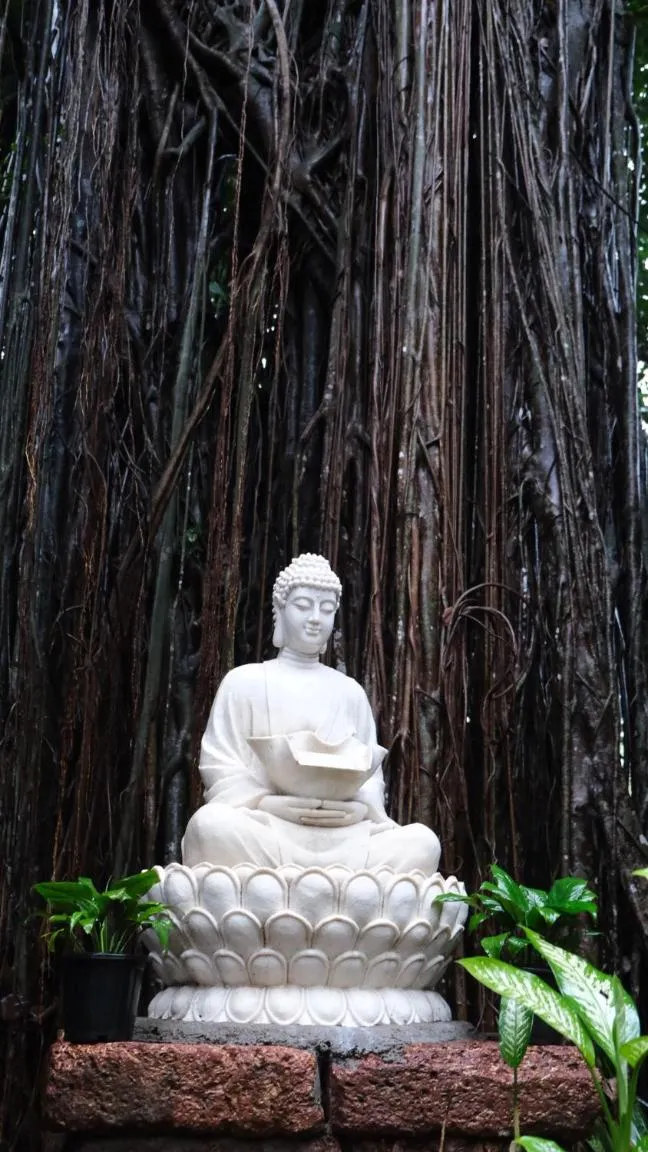 Garden in Bambolim Beach Resort