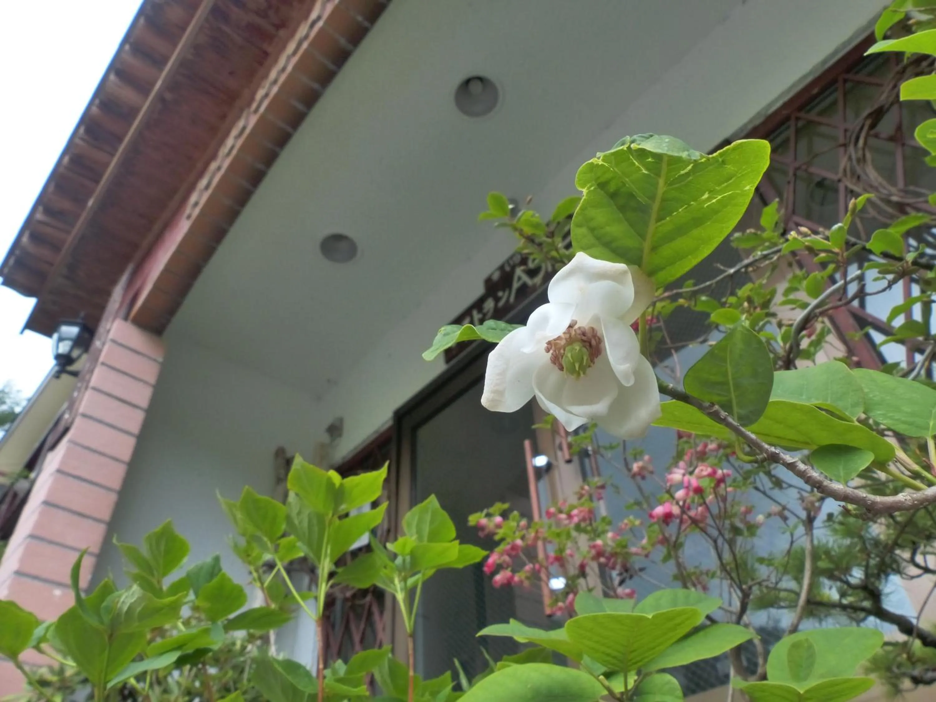 Other in Aspen Shiga