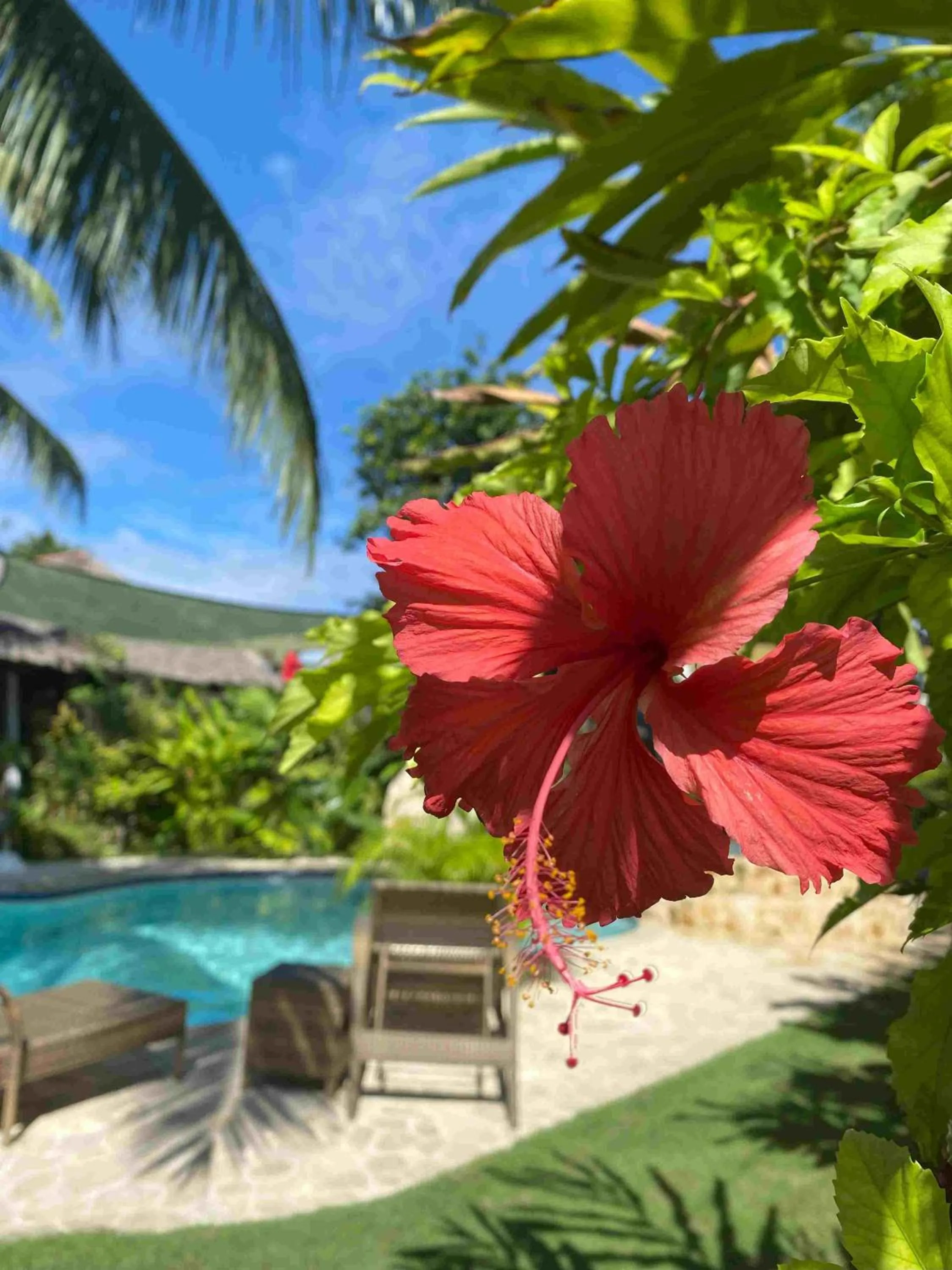 Romantic Beach Villas