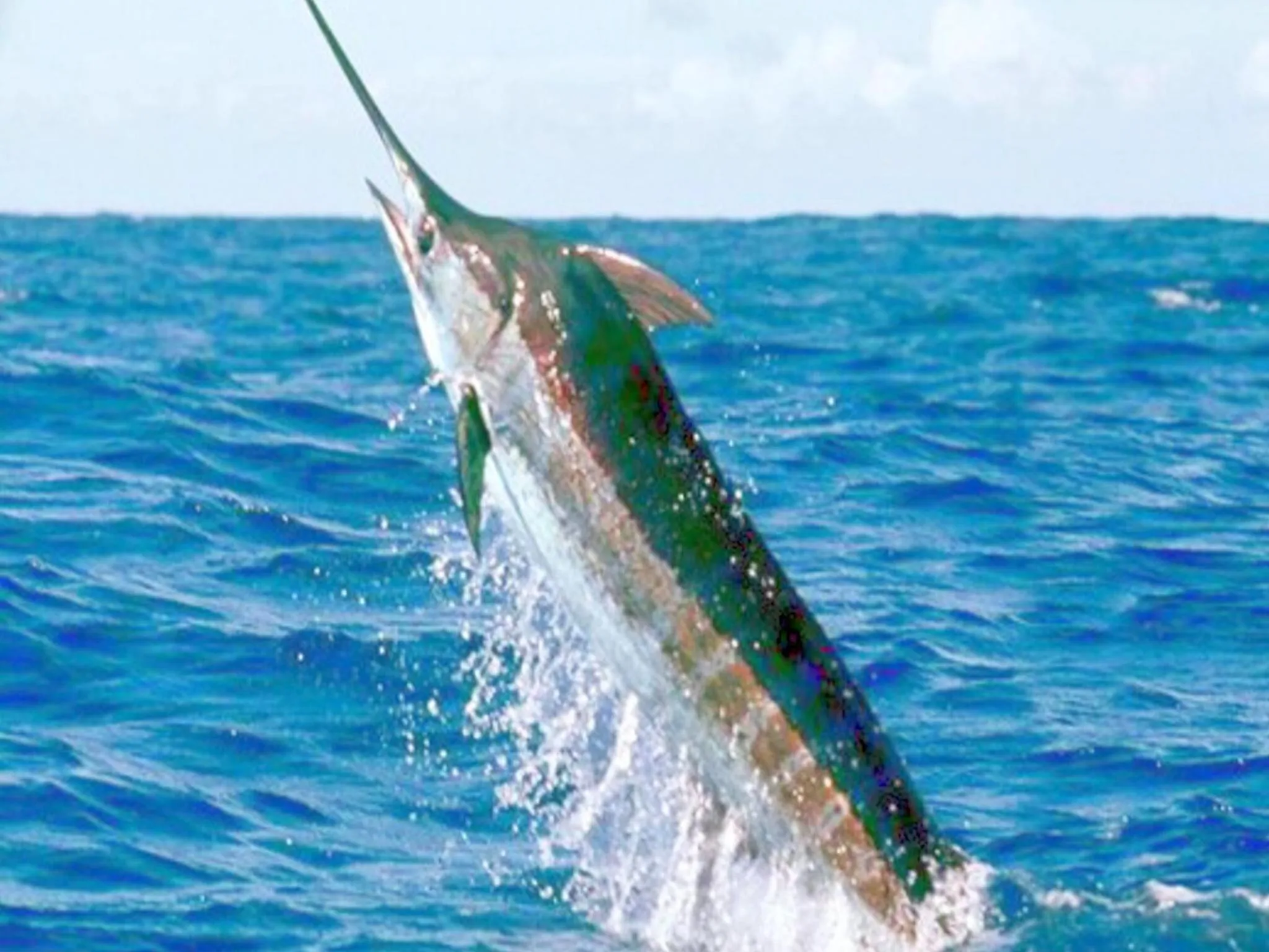 Fishing in Romantic Beach Villas