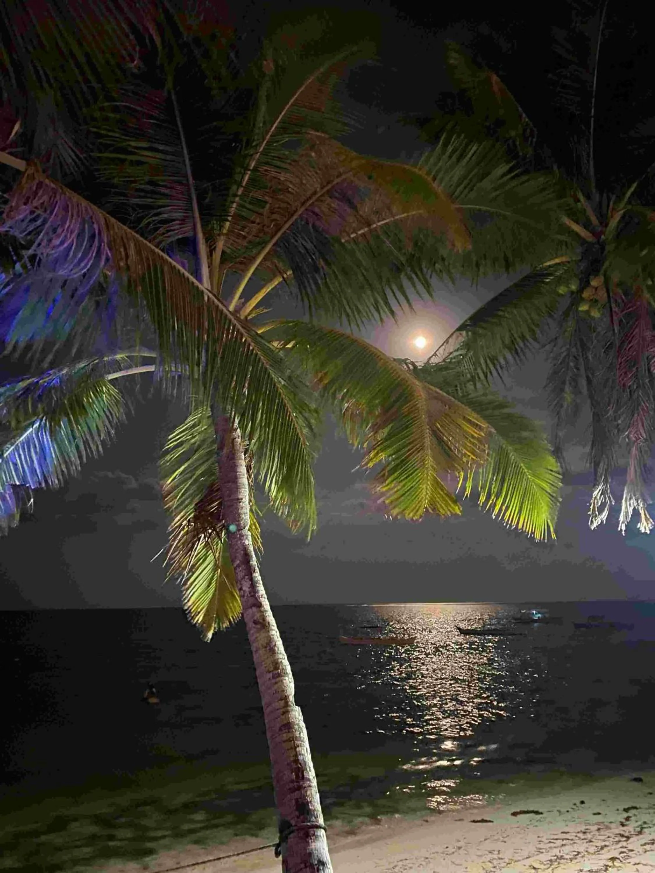 Romantic Beach Villas