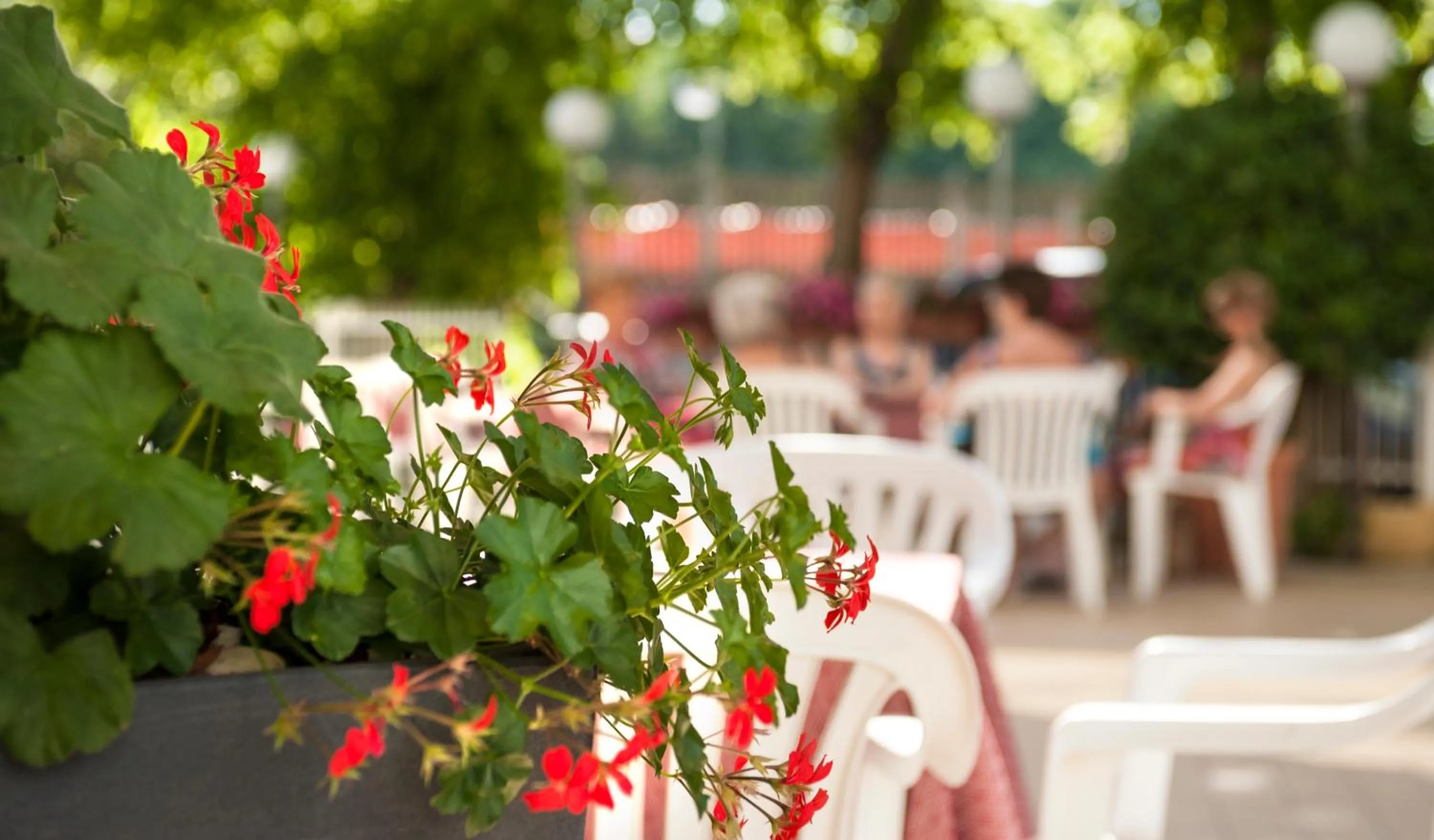 Decorative detail in Hotel Sandra