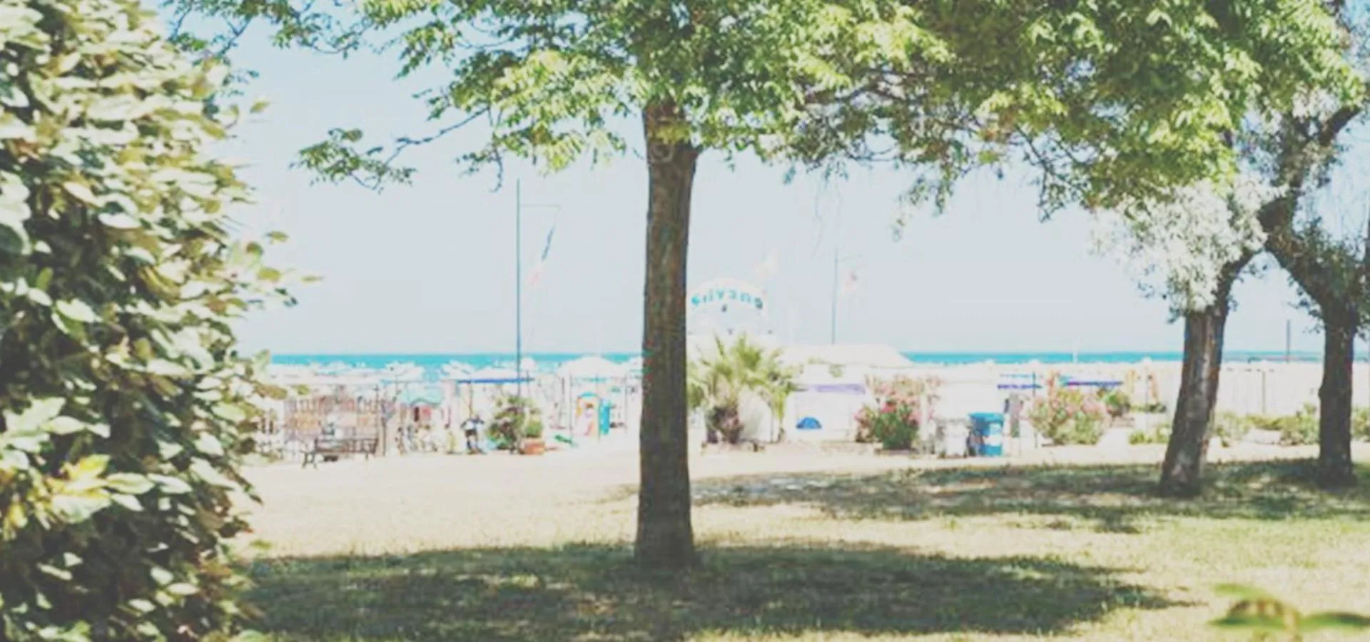 Beach in Hotel Sandra