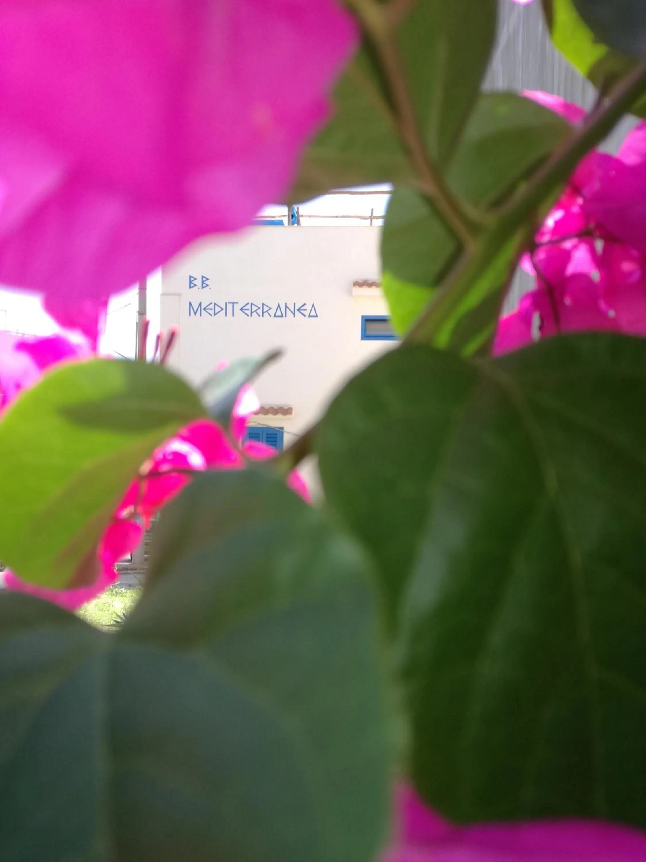 Property building in Mediterranea Guesthouse B&B