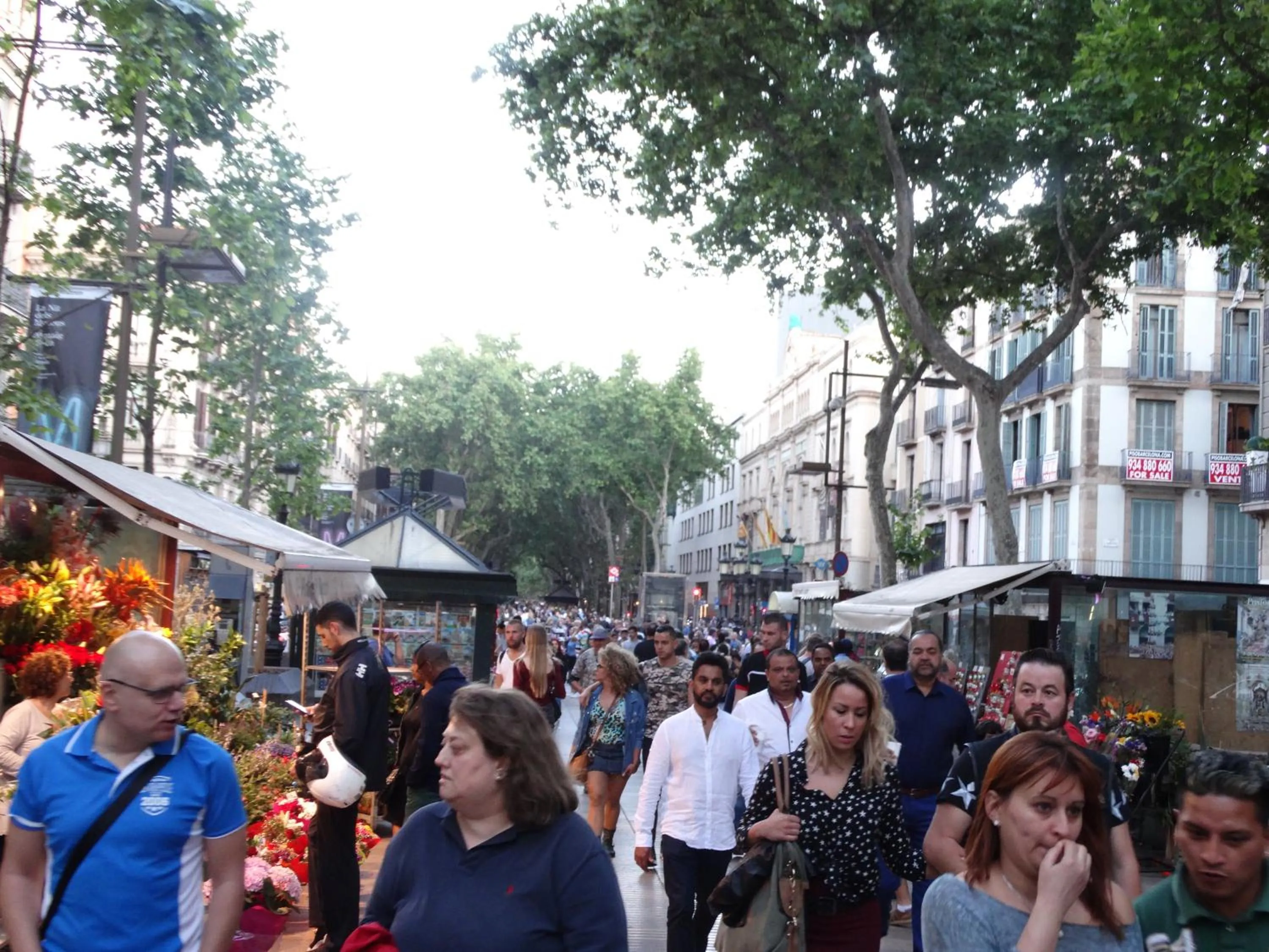 Street view in Hostal Mont Thabor