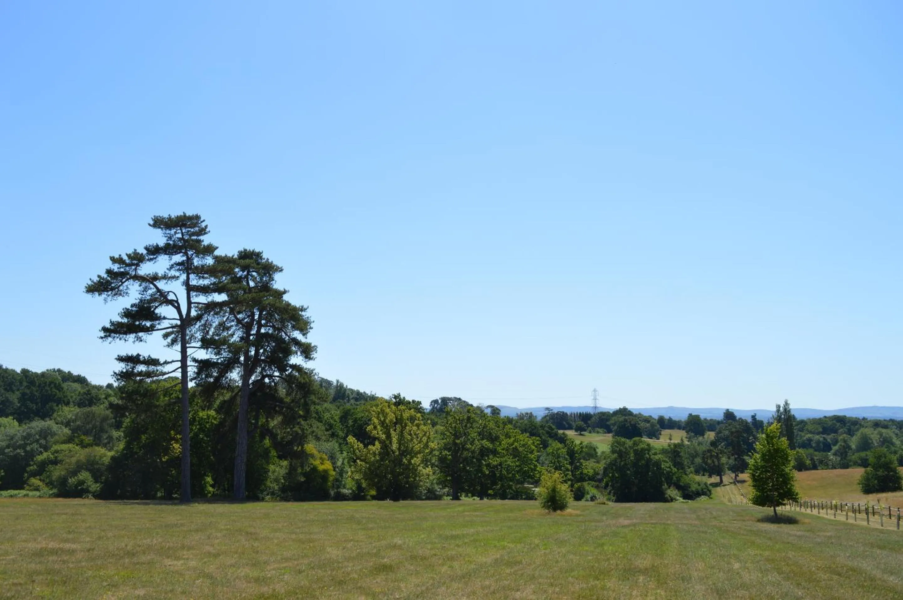 Garden in East Lodge