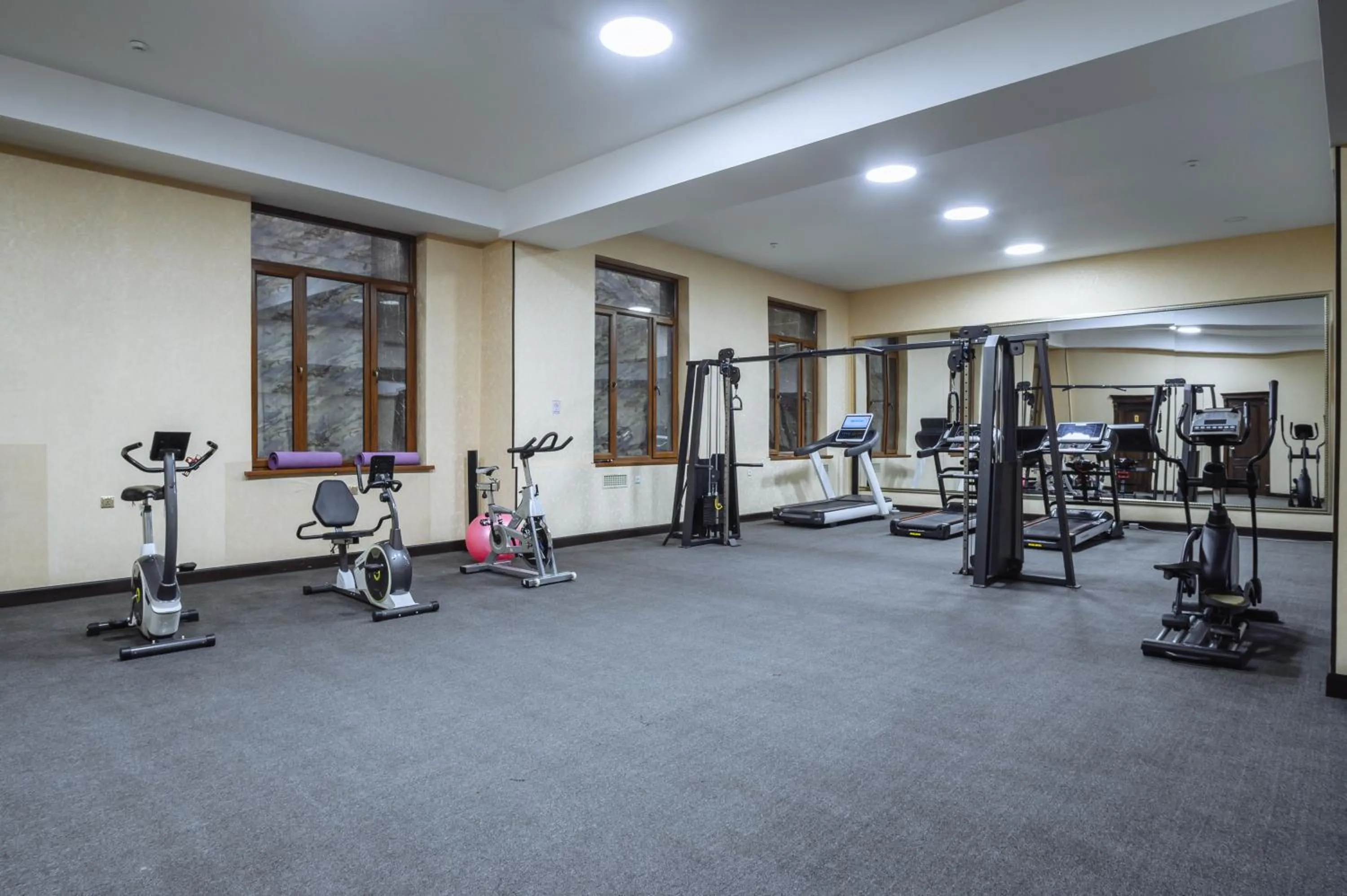 Fitness centre/facilities in Daniel Hill Hotel