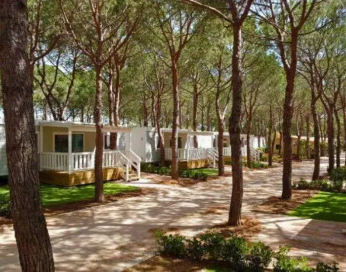 LODGE COMFORT MAREMMA in Gitavillage Le Marze LODGE COMFORT MAREMMA in Gitavillage Le Marze