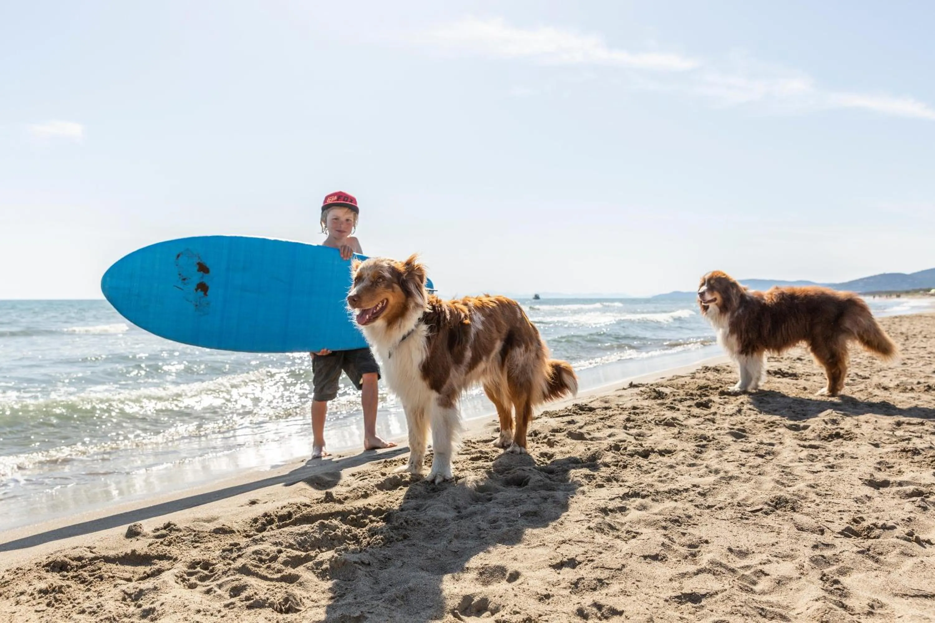 Pets in Gitavillage Le Marze