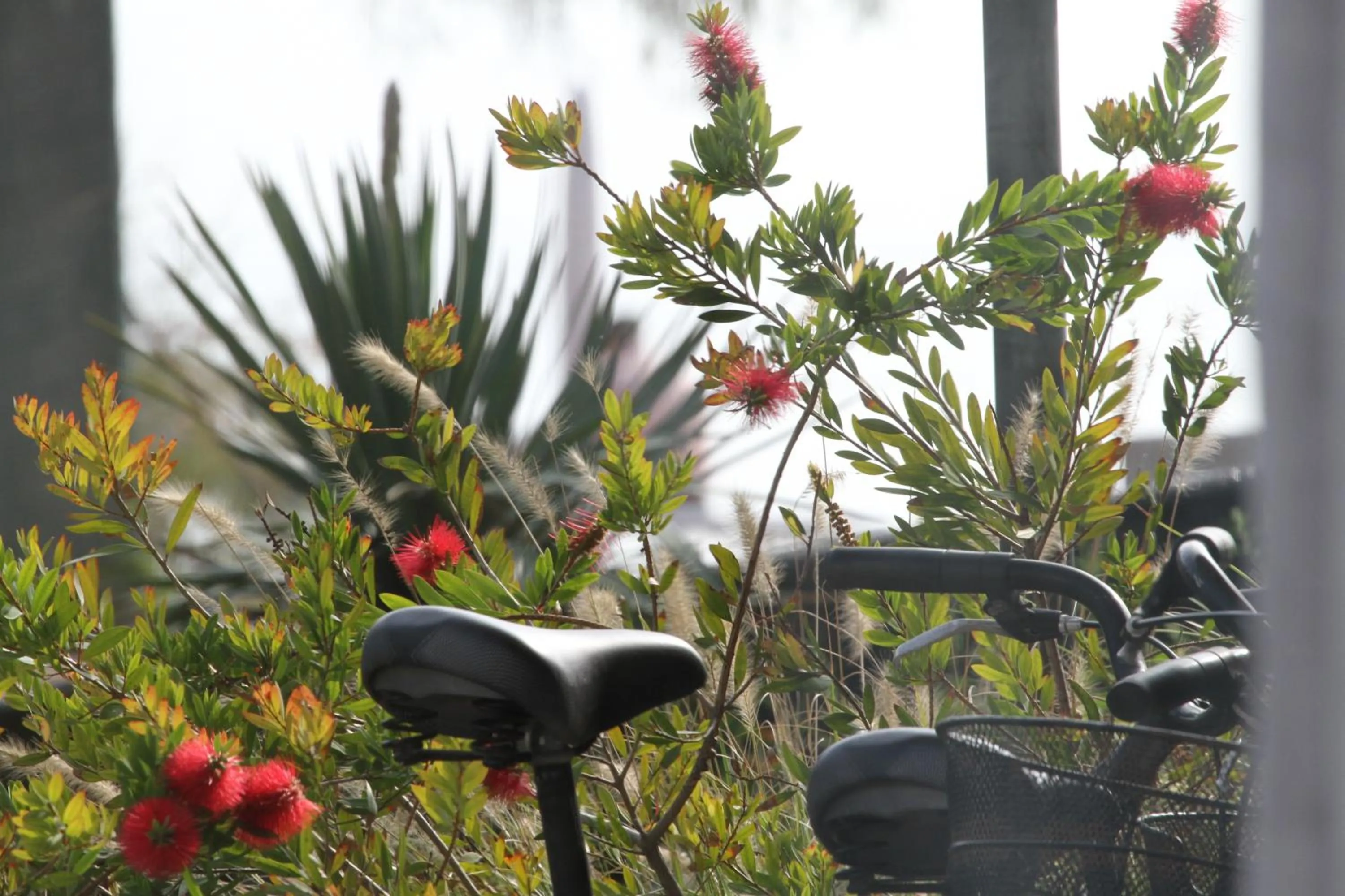 Day in Hotel Righetto Fronte Mare