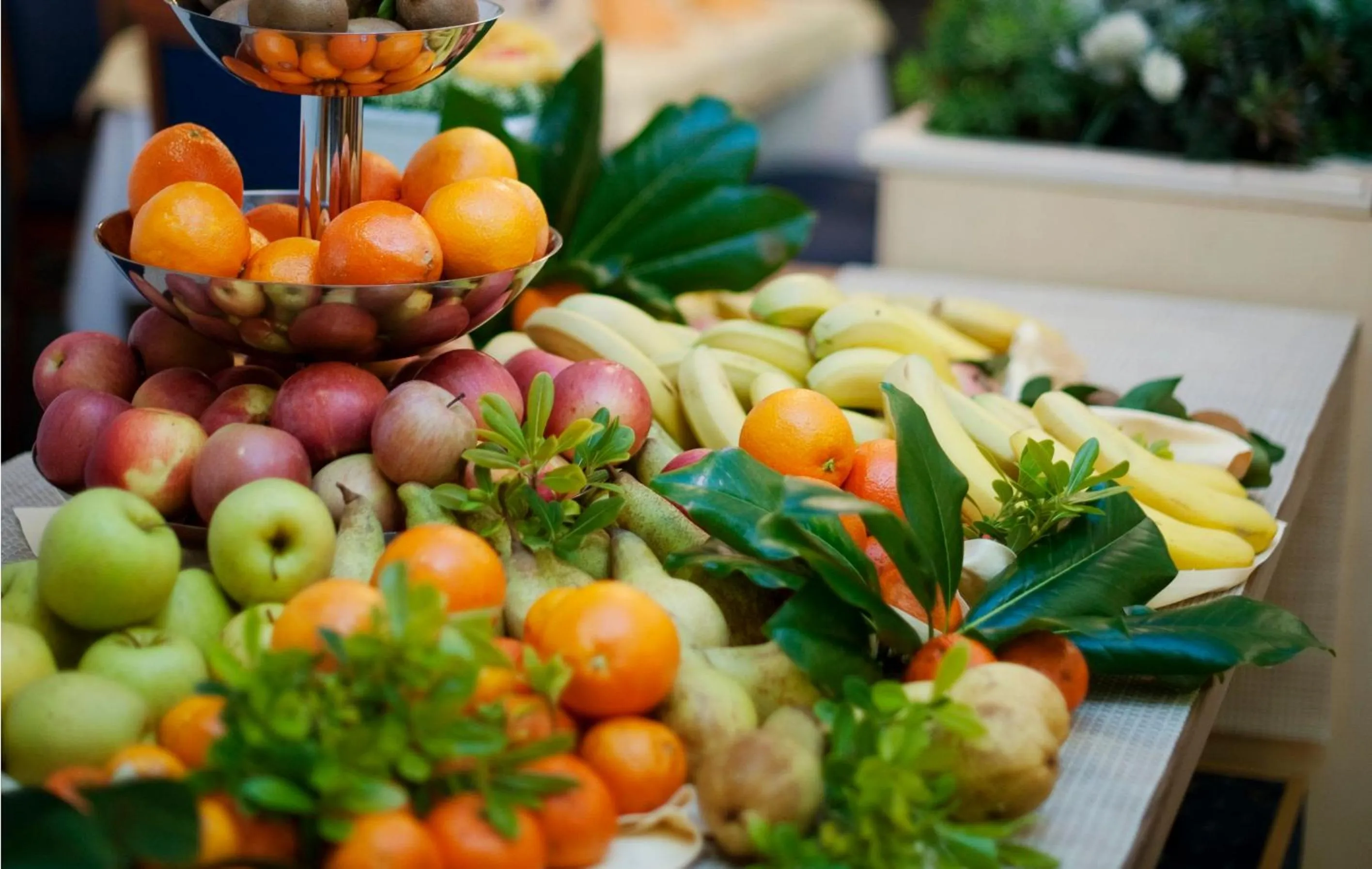 Food in Apartments Vila Barka