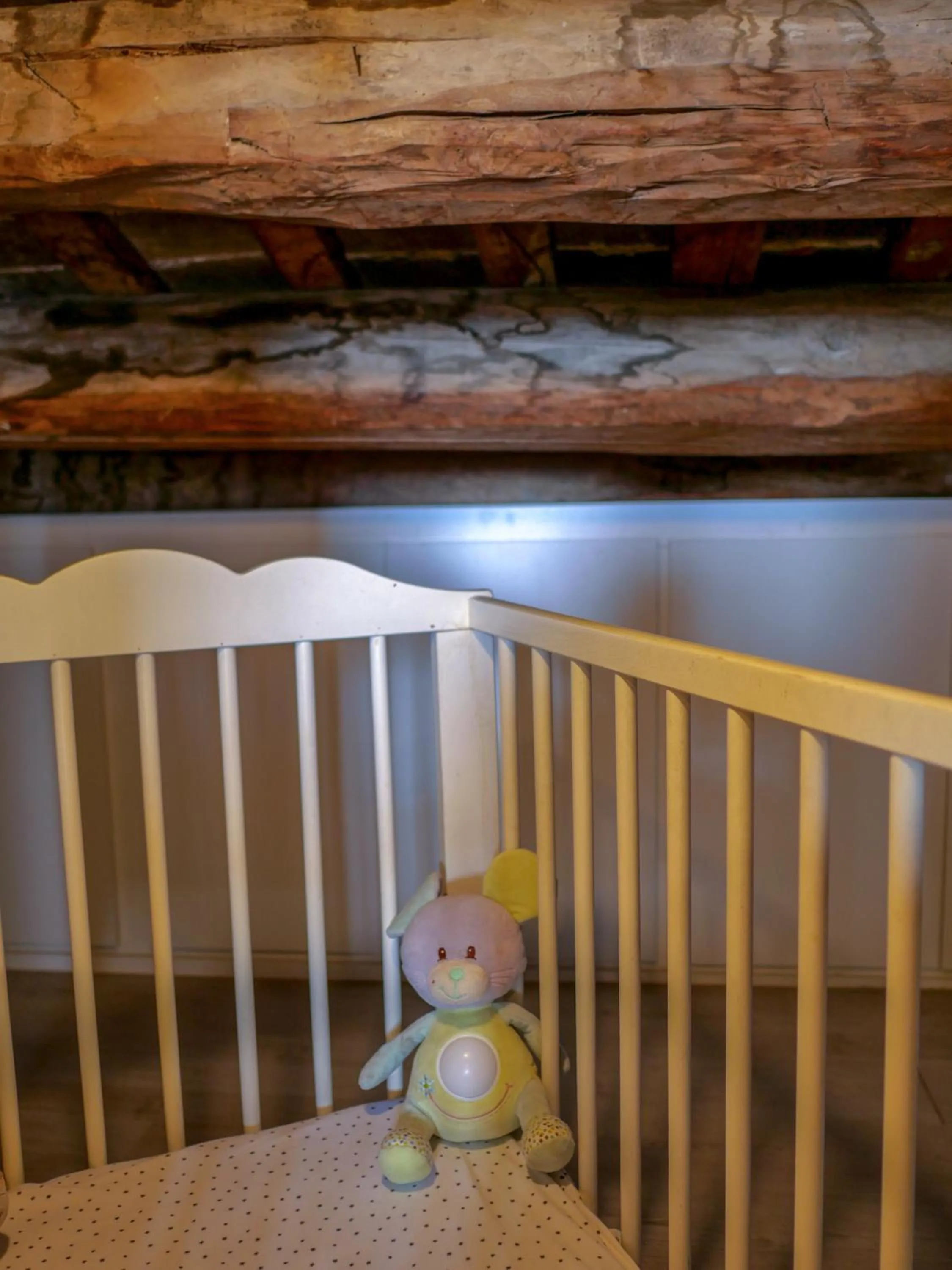 Other in Luxury Apartment Stancesvic