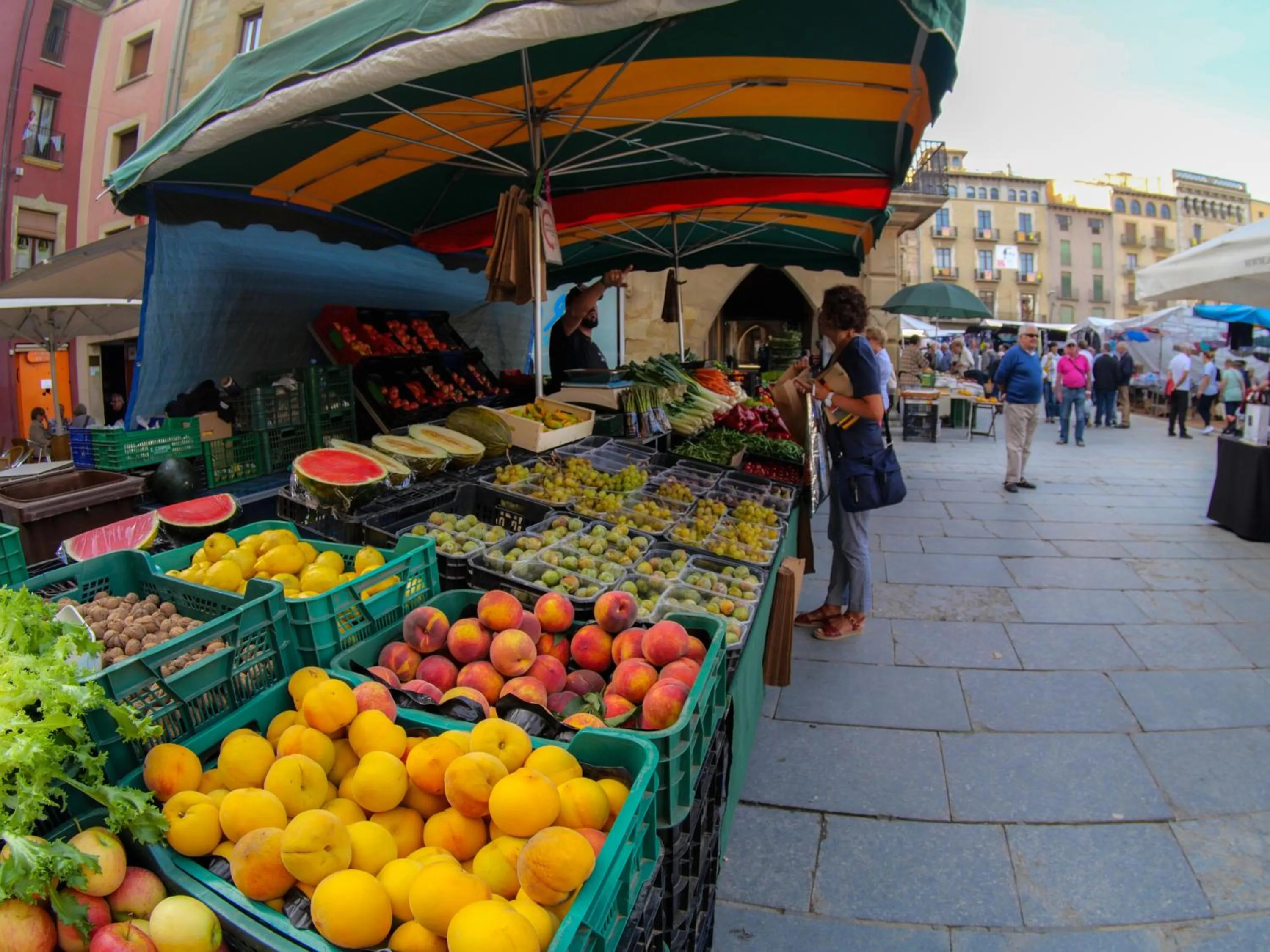 Food in Luxury Apartment Stancesvic