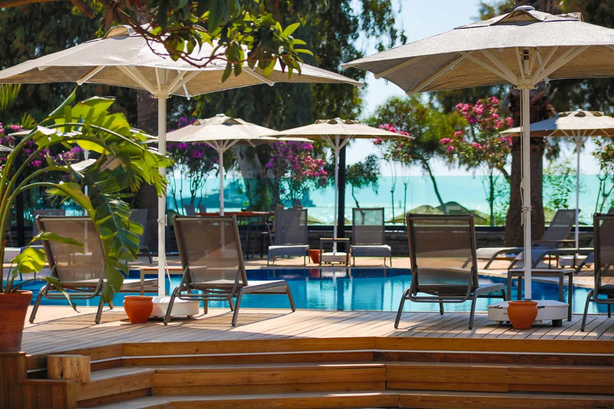 Garden in Yalıpark Beach Hotel