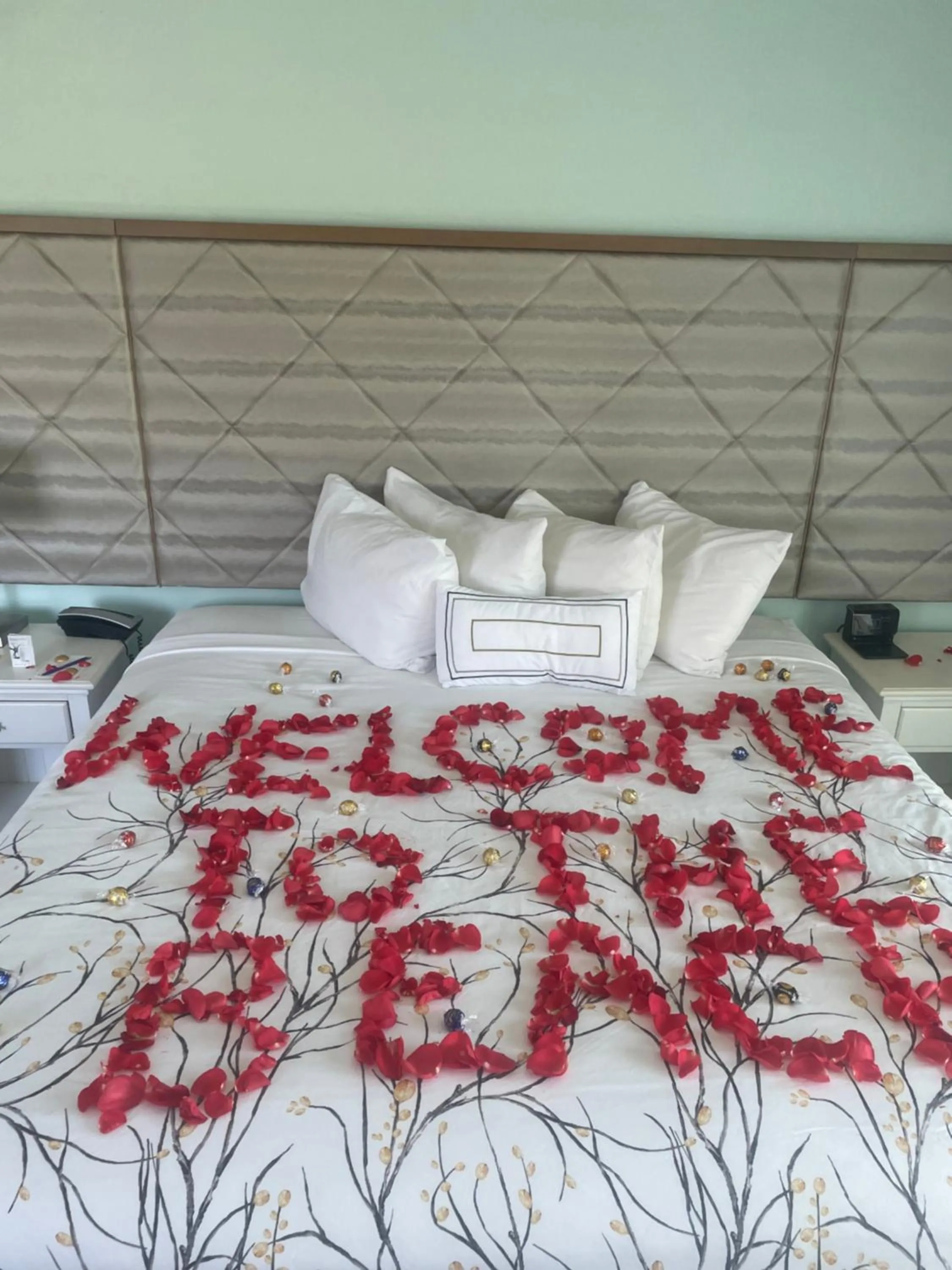 Bed in NEW 2026-Ocean Sands Beach Boutique Inn-Sauna and Salt-Mineral Pool -Free Beach Bikes and Famous Beach- Fresh Baked Cookies and Popcorn - Bathrobes and Sunscreen in all rooms-Ultra Sparkling-Free Laundry- 4 Grand Black Beds-Call NOW & Save-1-252-AHA-SAND