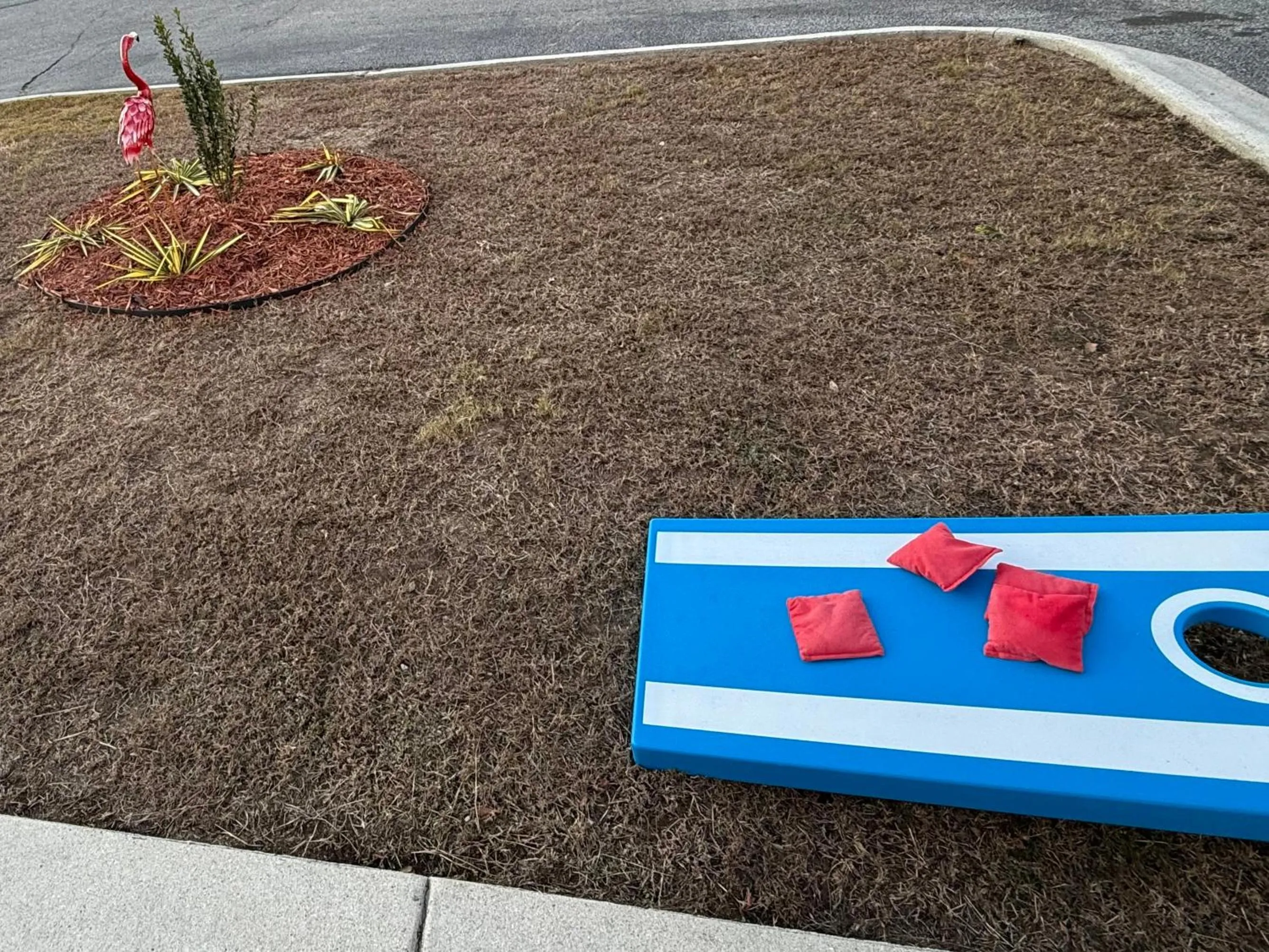 NEW 2026-Ocean Sands Beach Boutique Inn-Sauna and Salt-Mineral Pool -Free Beach Bikes and Famous Beach- Fresh Baked Cookies and Popcorn - Bathrobes and Sunscreen in all rooms-Ultra Sparkling-Free Laundry- 4 Grand Black Beds-Call NOW & Save-1-252-AHA-SAND