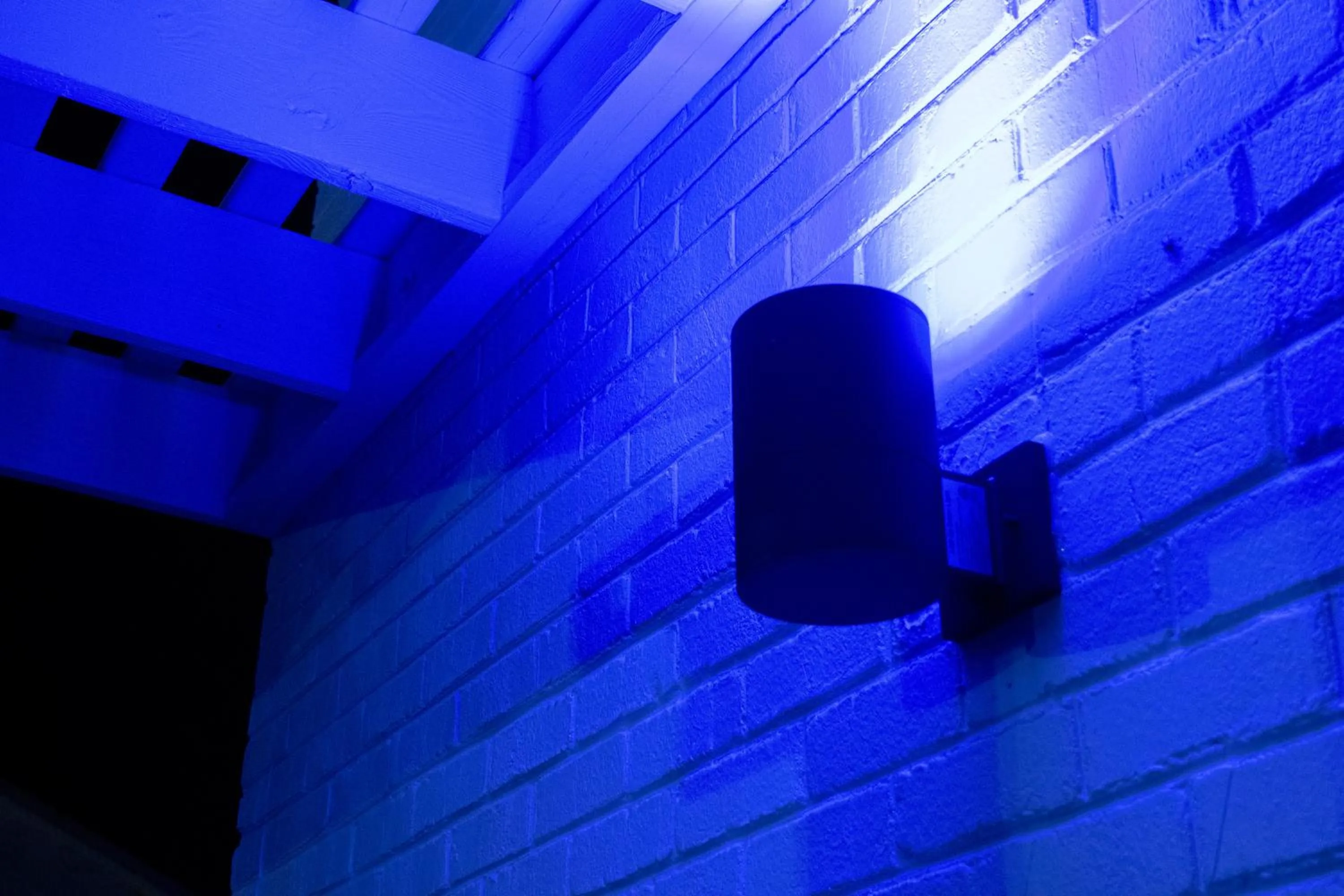 NEW 2026-Ocean Sands Beach Boutique Inn-Sauna and Salt-Mineral Pool -Free Beach Bikes and Famous Beach- Fresh Baked Cookies and Popcorn - Bathrobes and Sunscreen in all rooms-Ultra Sparkling-Free Laundry- 4 Grand Black Beds-Call NOW & Save-1-252-AHA-SAND