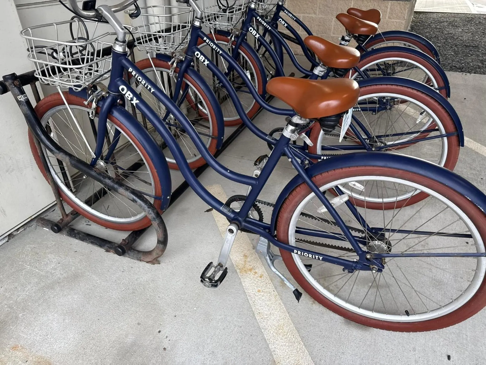 NEW 2026-Ocean Sands Beach Boutique Inn-Sauna and Salt-Mineral Pool -Free Beach Bikes and Famous Beach- Fresh Baked Cookies and Popcorn - Bathrobes and Sunscreen in all rooms-Ultra Sparkling-Free Laundry- 4 Grand Black Beds-Call NOW & Save-1-252-AHA-SAND