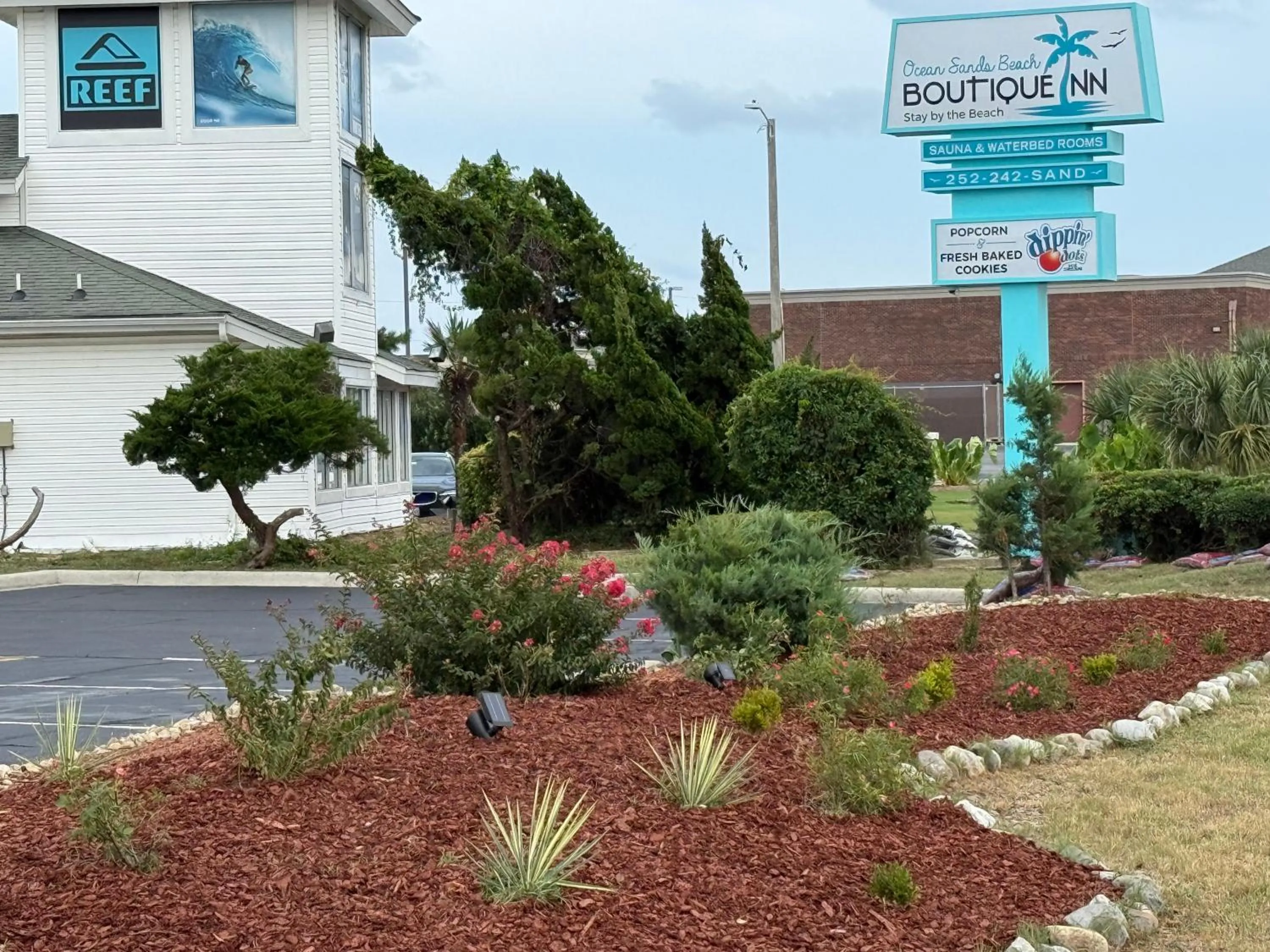 NEW 2026-Ocean Sands Beach Boutique Inn-Sauna and Salt-Mineral Pool -Free Beach Bikes and Famous Beach- Fresh Baked Cookies and Popcorn - Bathrobes and Sunscreen in all rooms-Ultra Sparkling-Free Laundry- 4 Grand Black Beds-Call NOW & Save-1-252-AHA-SAND