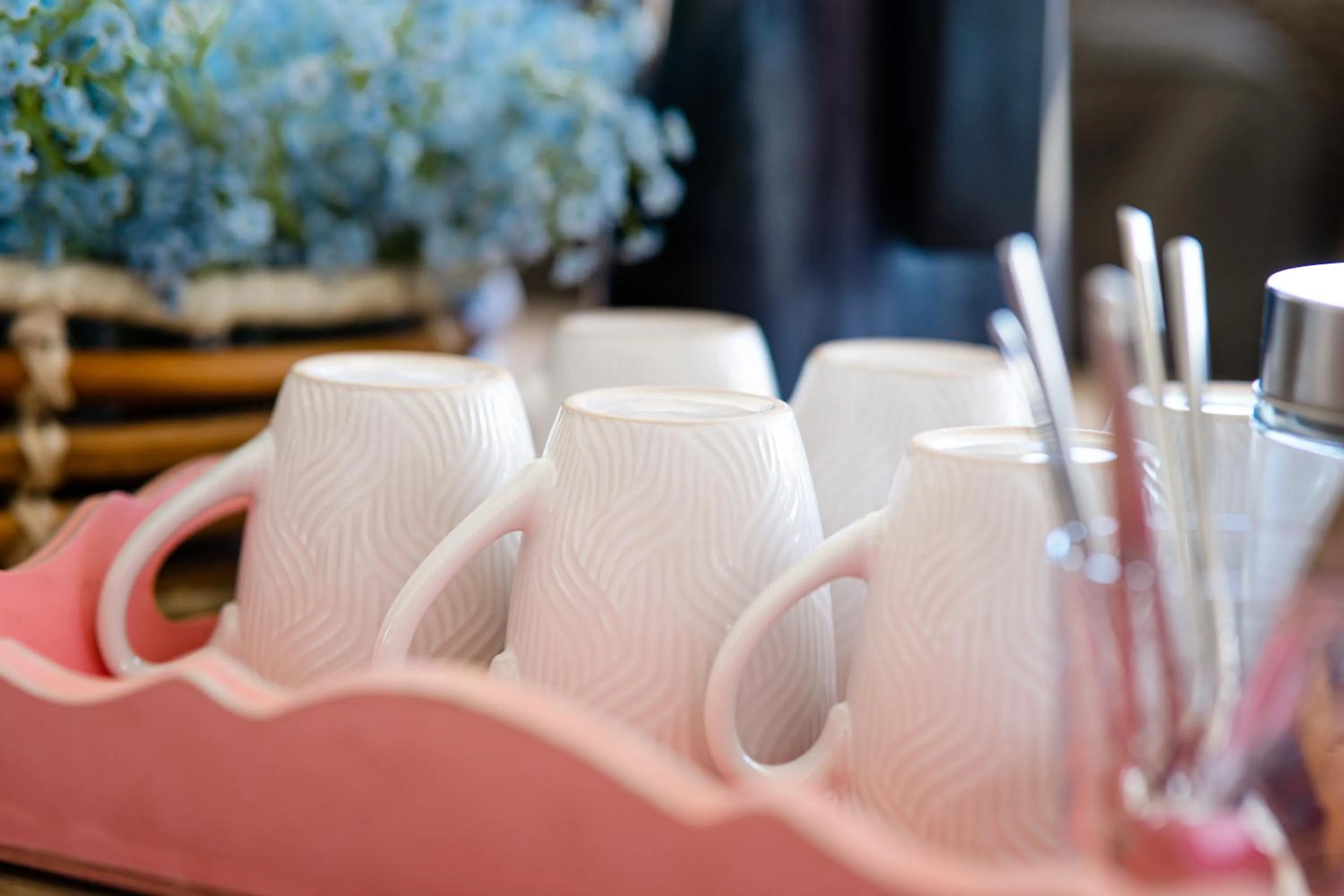 Food and drinks in Bandabou Breeze Curacao