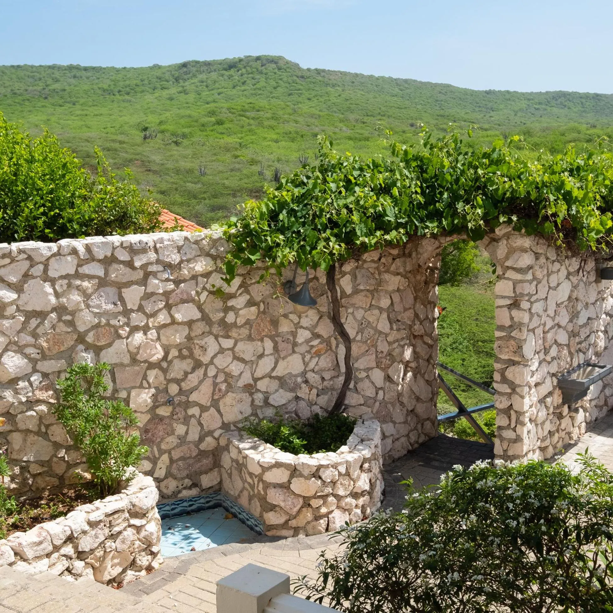 Spring in Bandabou Breeze Curacao