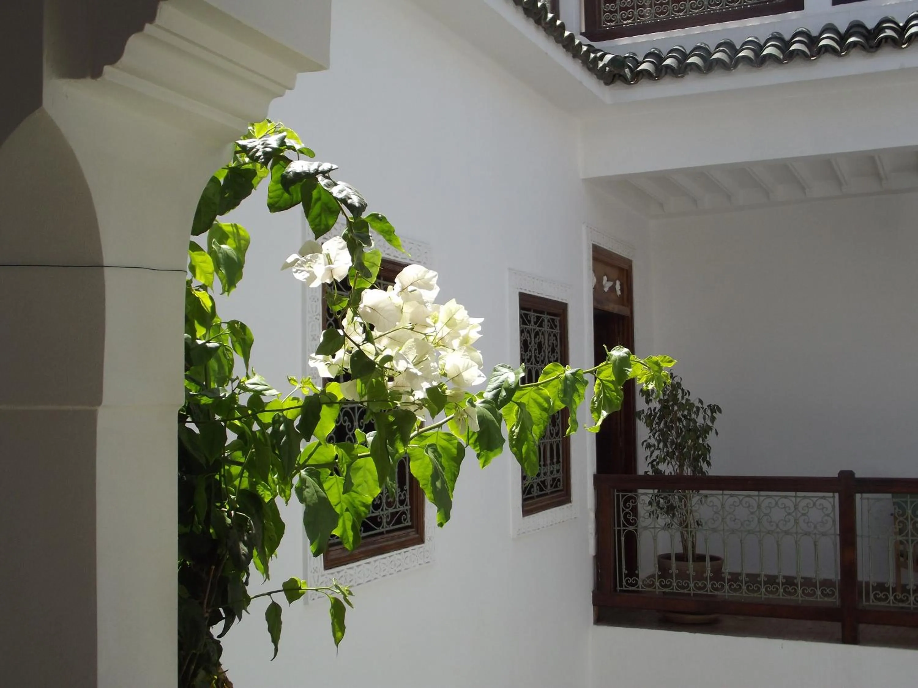 Balcony/Terrace in Riad Les Bougainvilliers