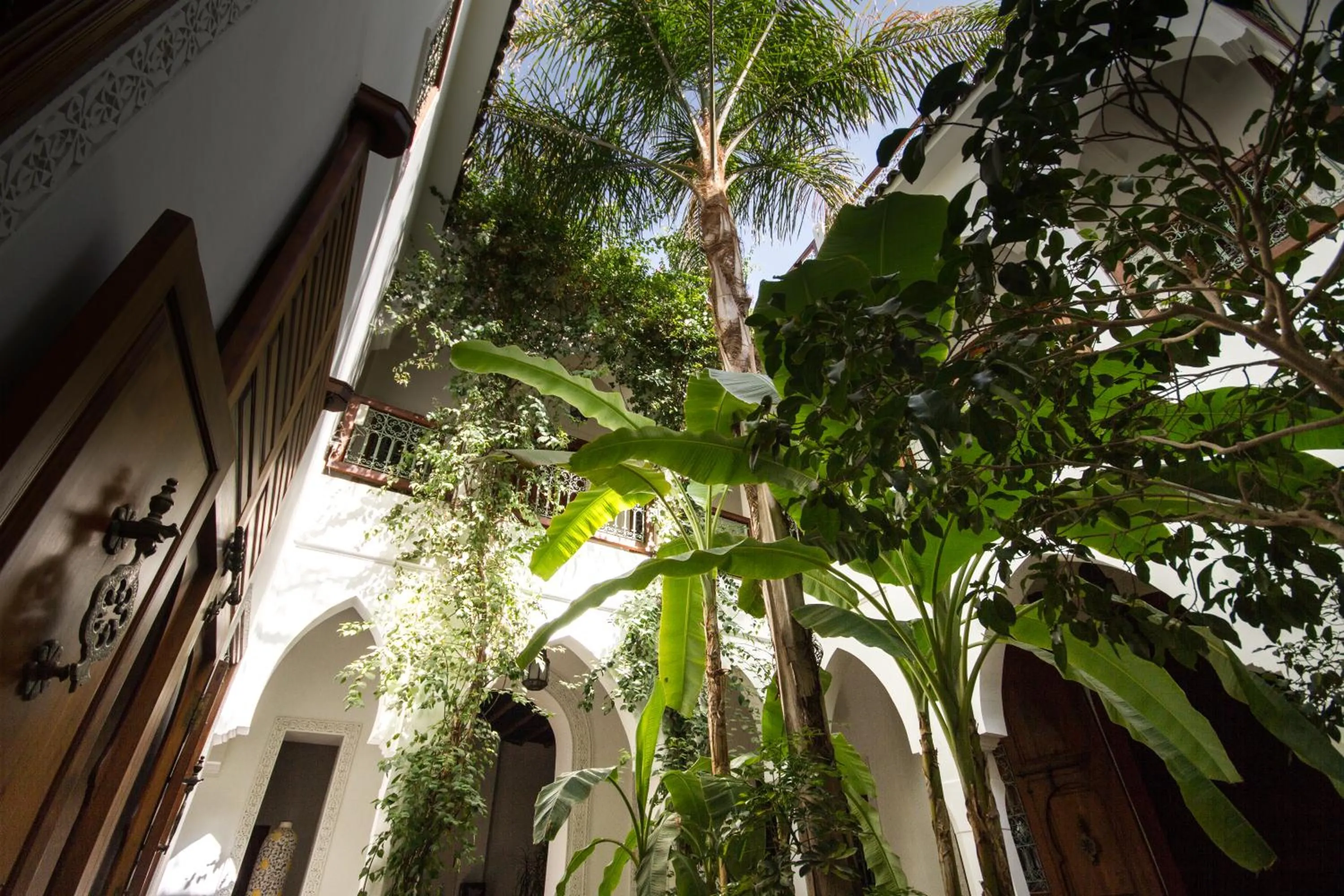 Natural landscape in Riad Les Bougainvilliers