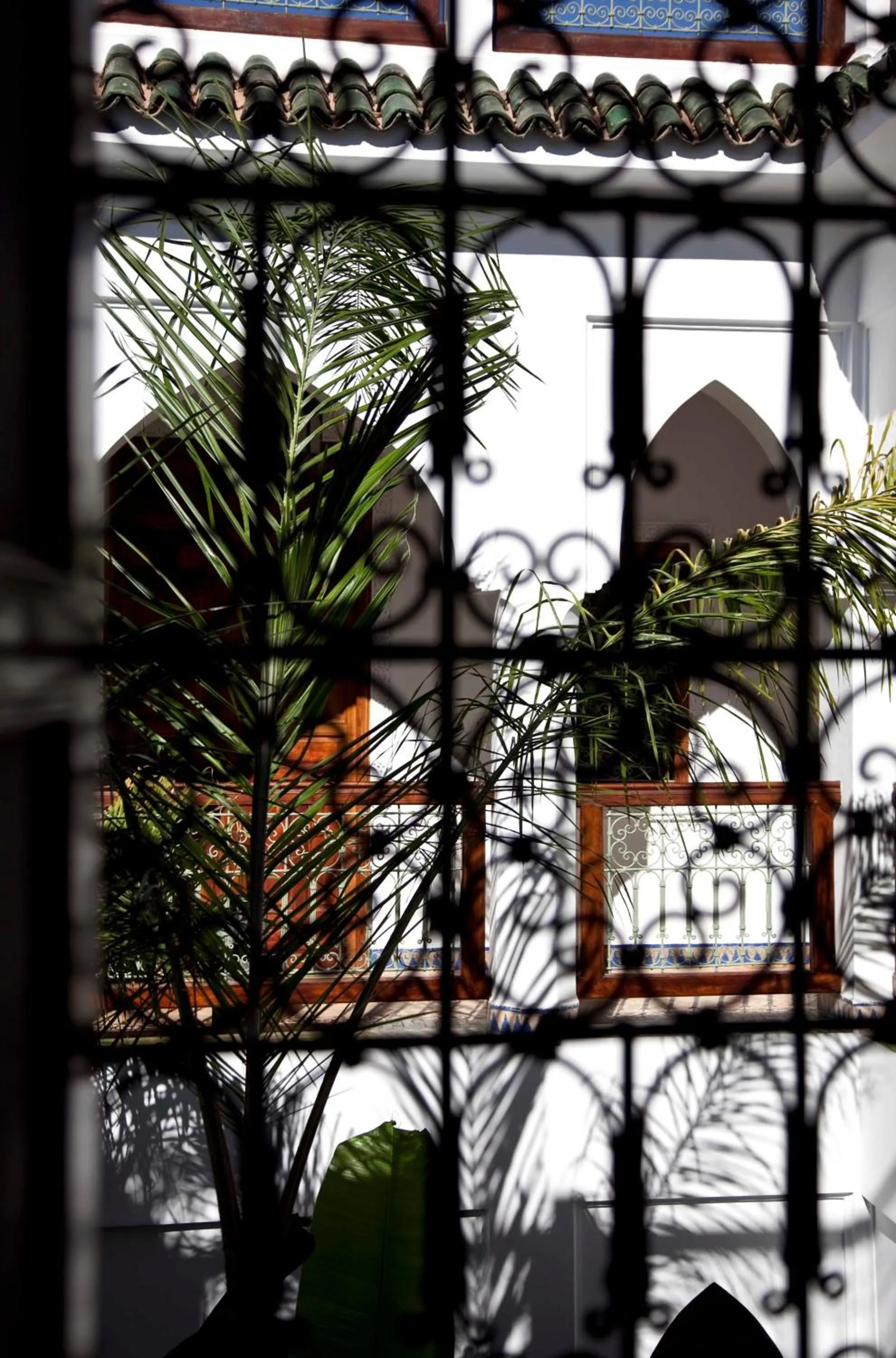 Balcony/Terrace in Riad Les Bougainvilliers