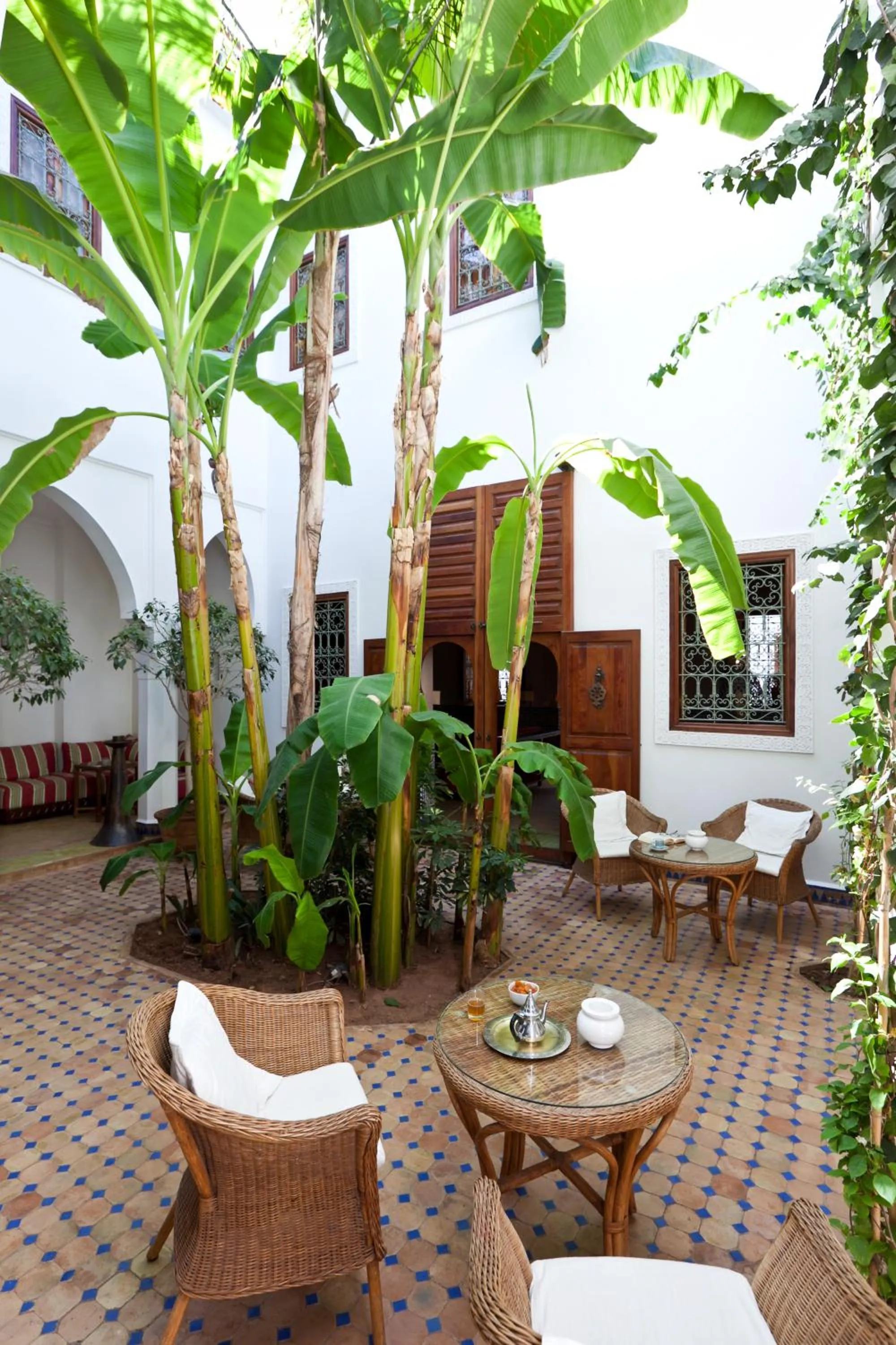 Garden in Riad Les Bougainvilliers
