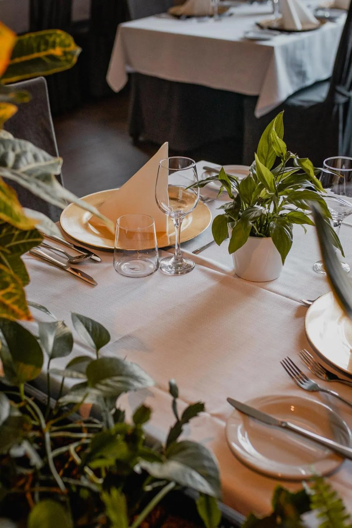 Restaurant/places to eat in Hotel Aubrecht Country Spa Resort