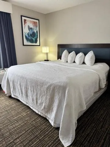 Bed in Wingate by Wyndham Canton-Hall of Fame