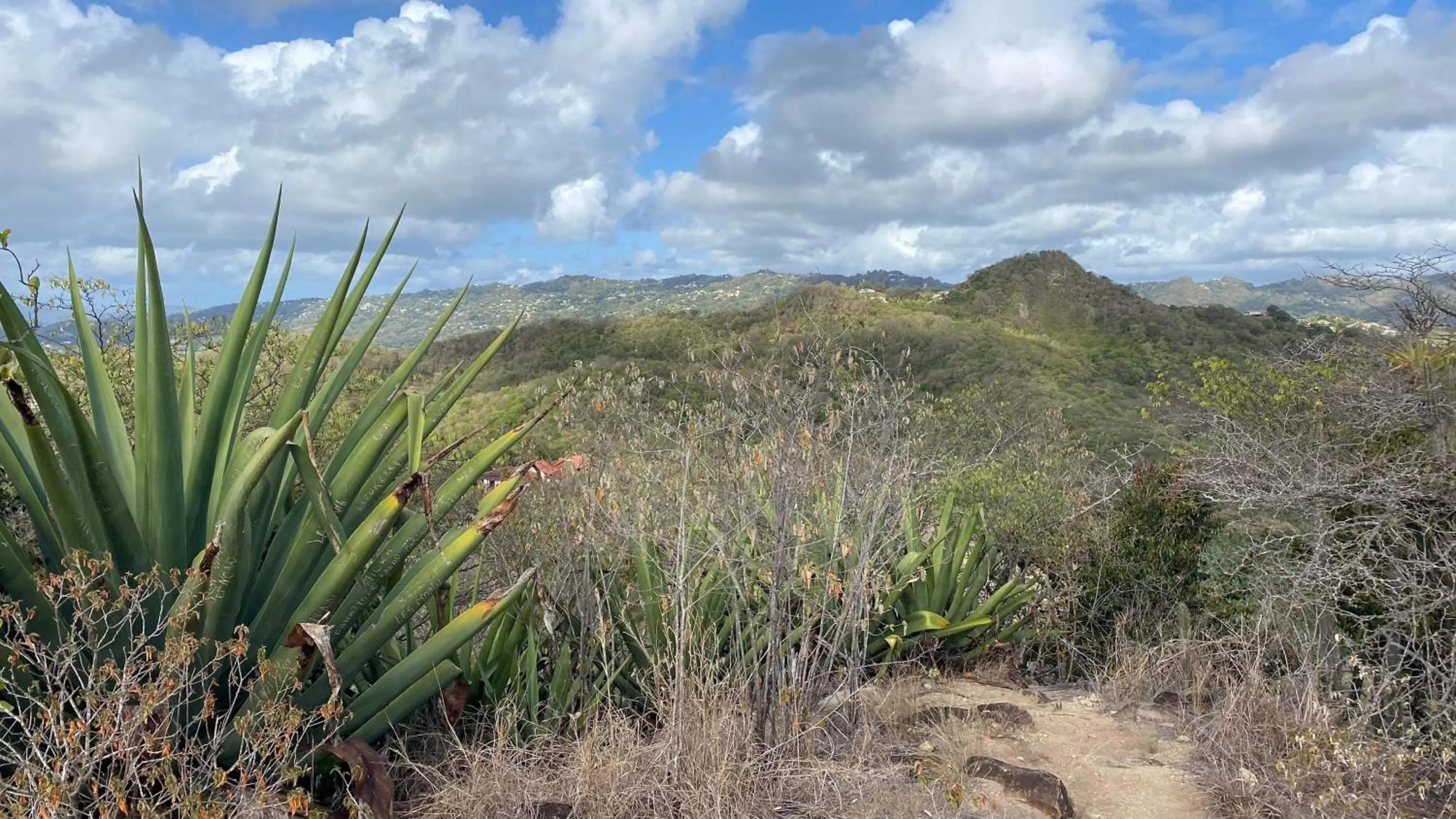 Hiking in Villa Clémence